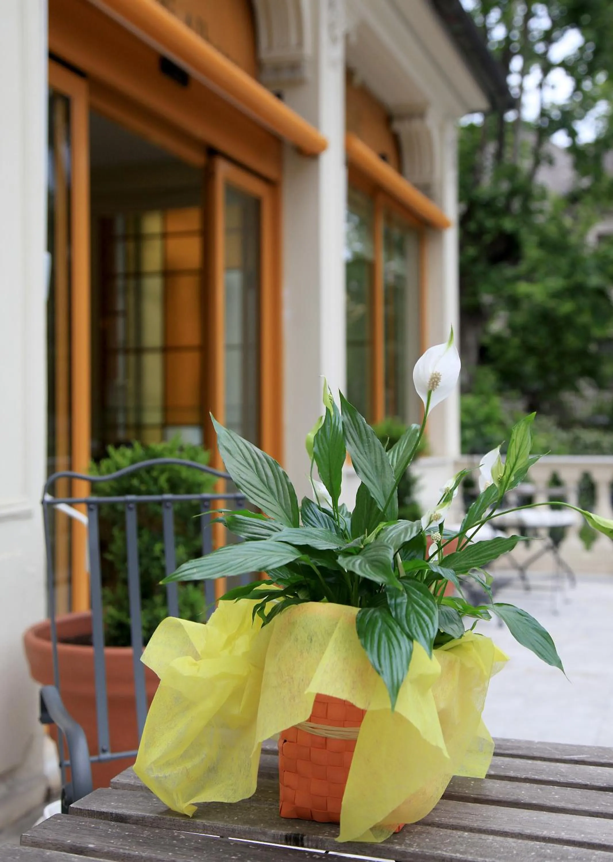 Il Giardino Di Albaro