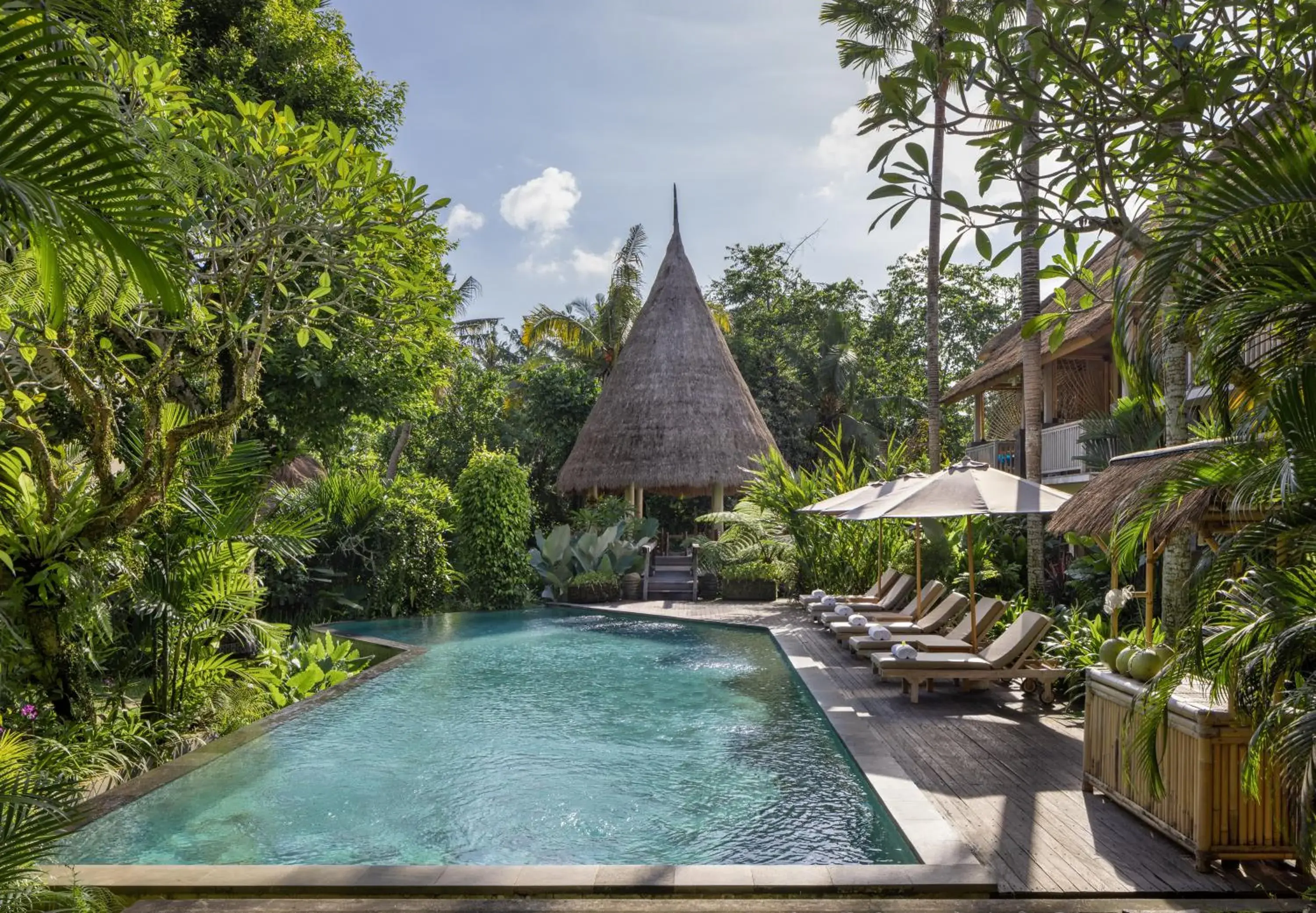 Pool view in The Alena Resort a Pramana Experience Pool view in The Alena Resort a Pramana Experience