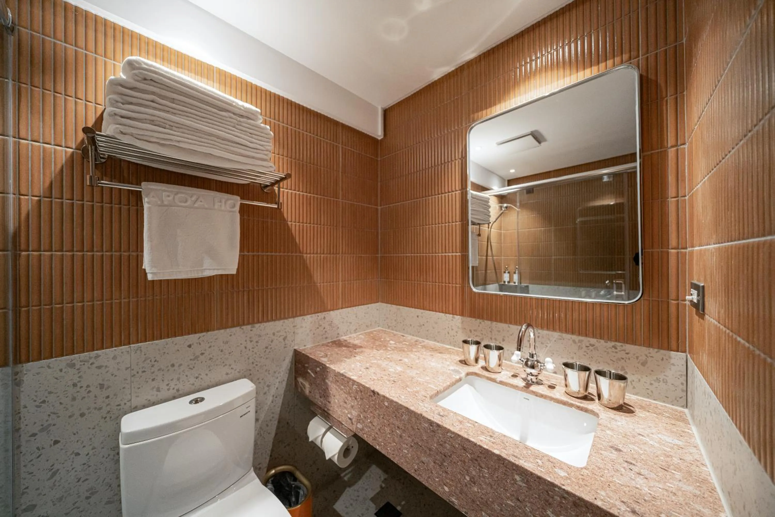 Toilet in PAPO'A Labs