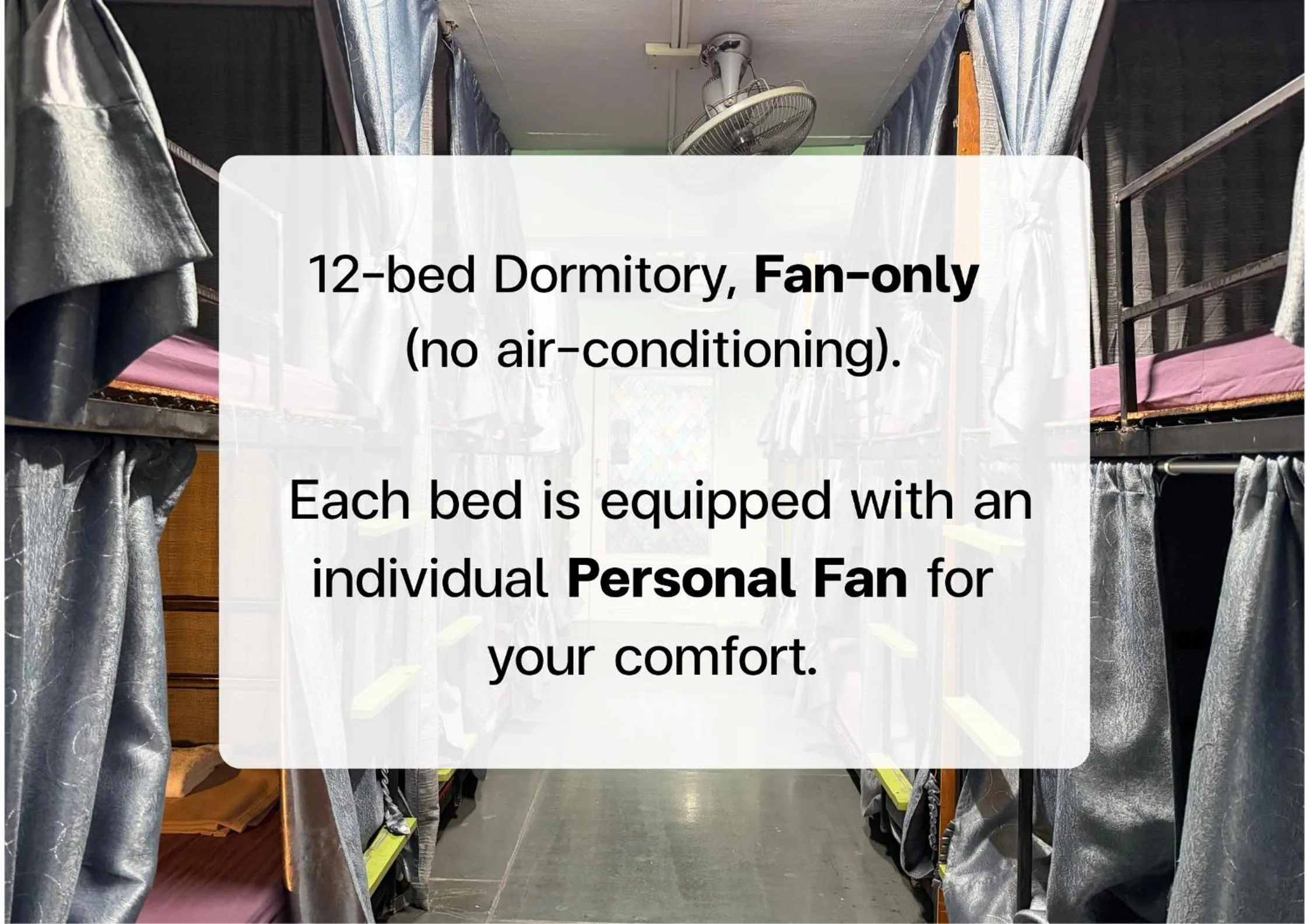 Photo of the whole room in J Giant Hostel