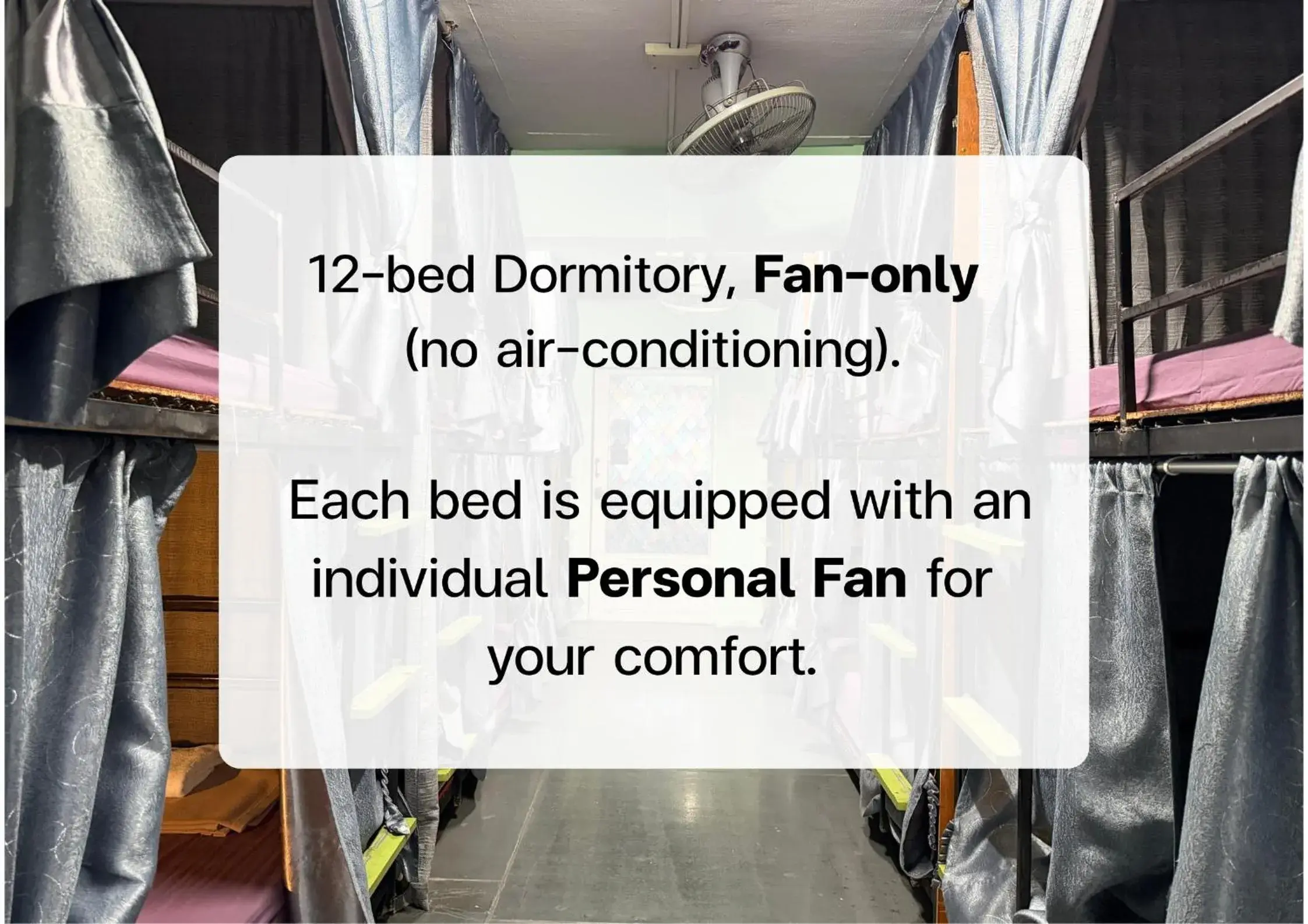 Bunk Bed in Mixed Dormitory Room with Fan in J Giant Hostel Bunk Bed in Mixed Dormitory Room with Fan in J Giant Hostel