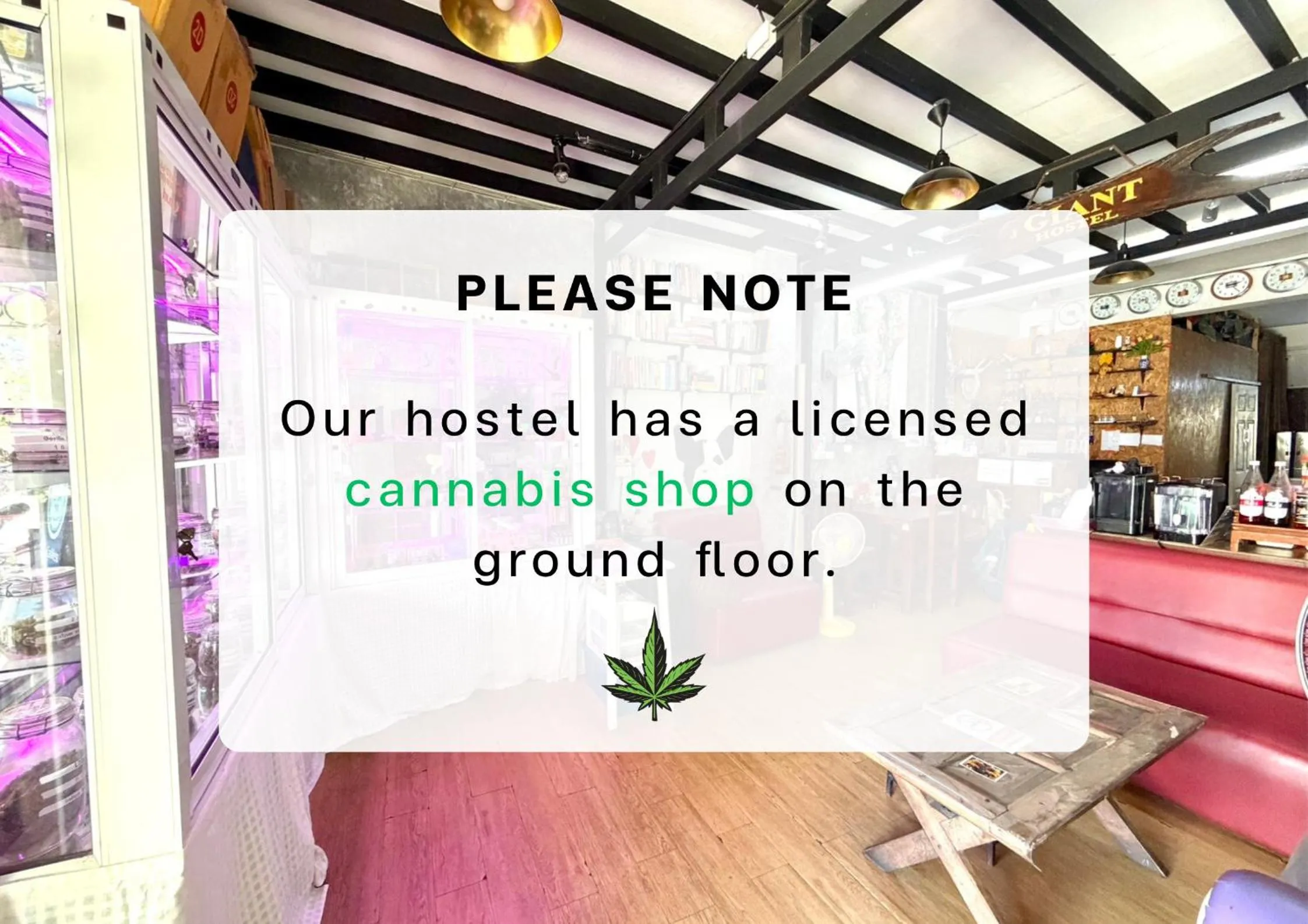 Property building in J Giant Hostel