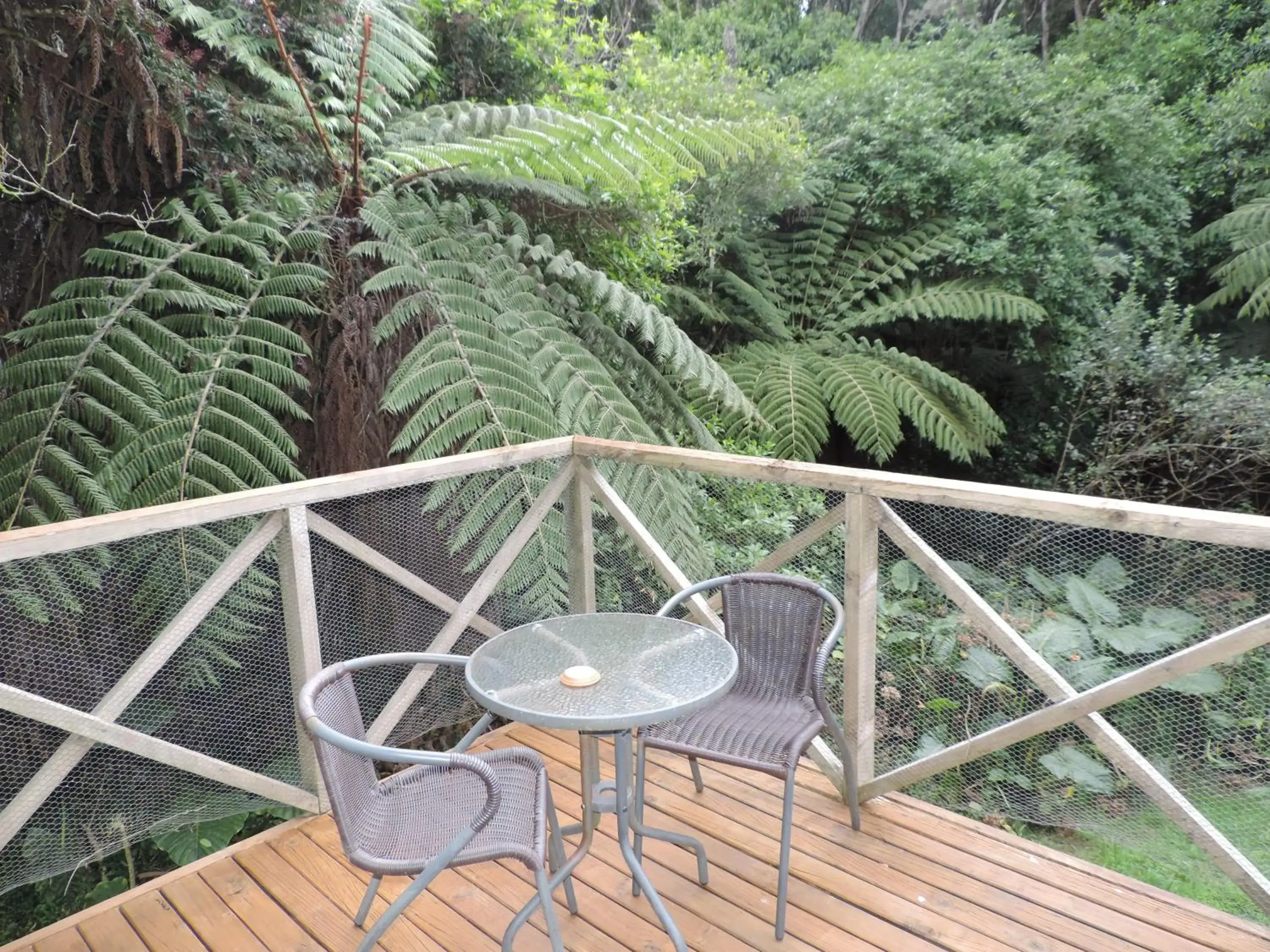 Waiheke Island Punga Lodge Waiheke Island Punga Lodge