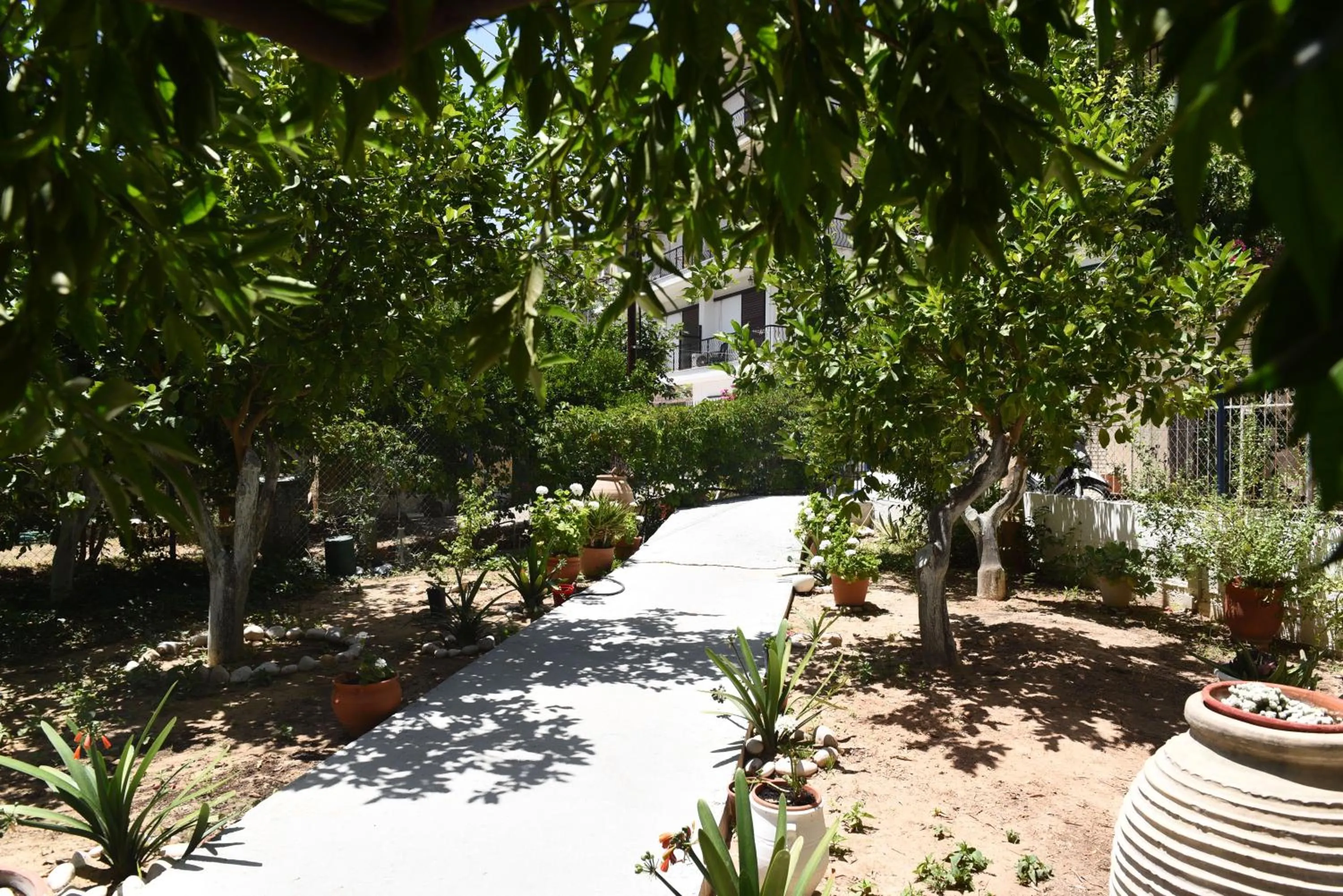 Property building in Knossos Hotel