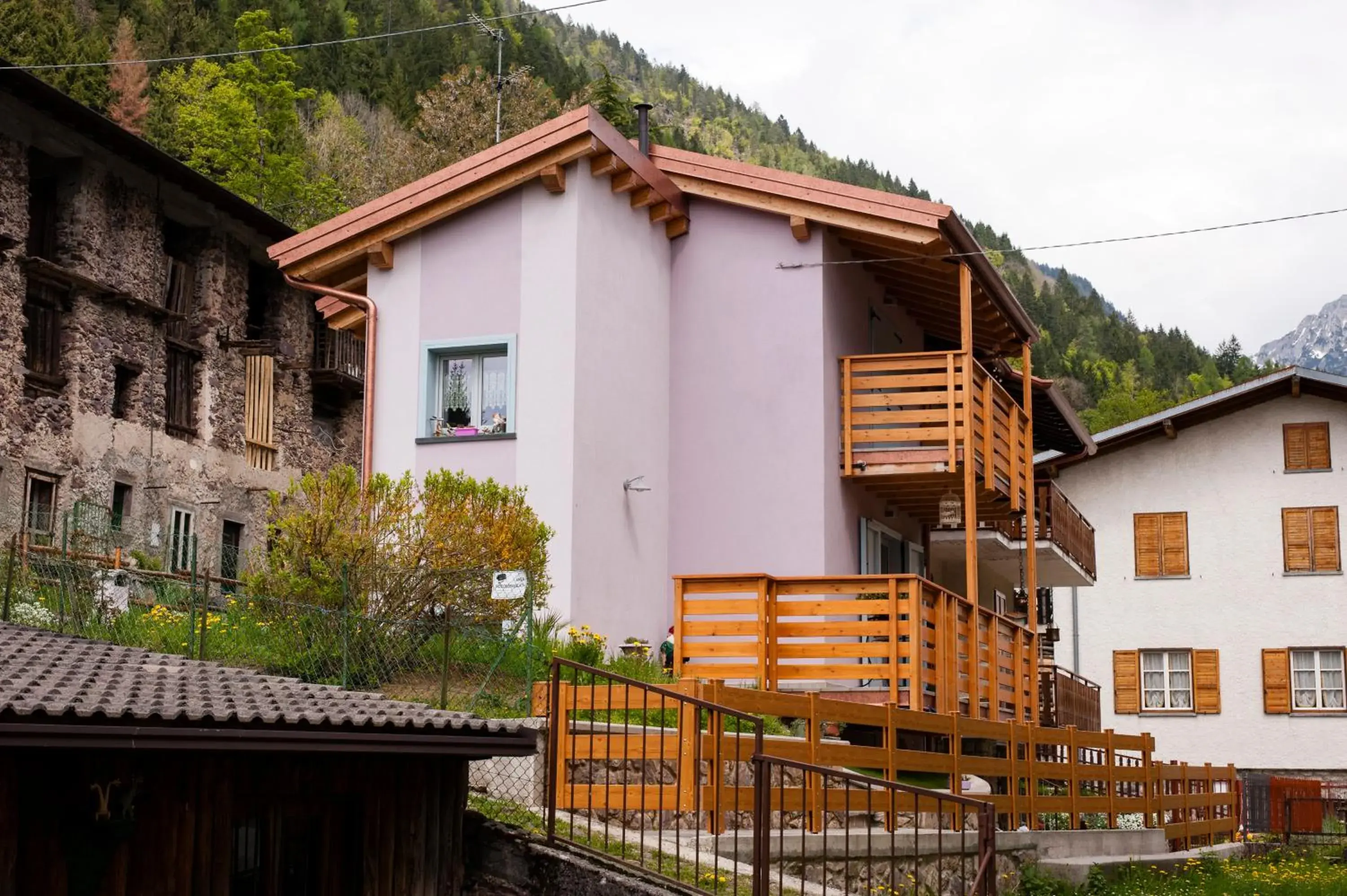 Il Bosco dei 100 Acri Il Bosco dei 100 Acri