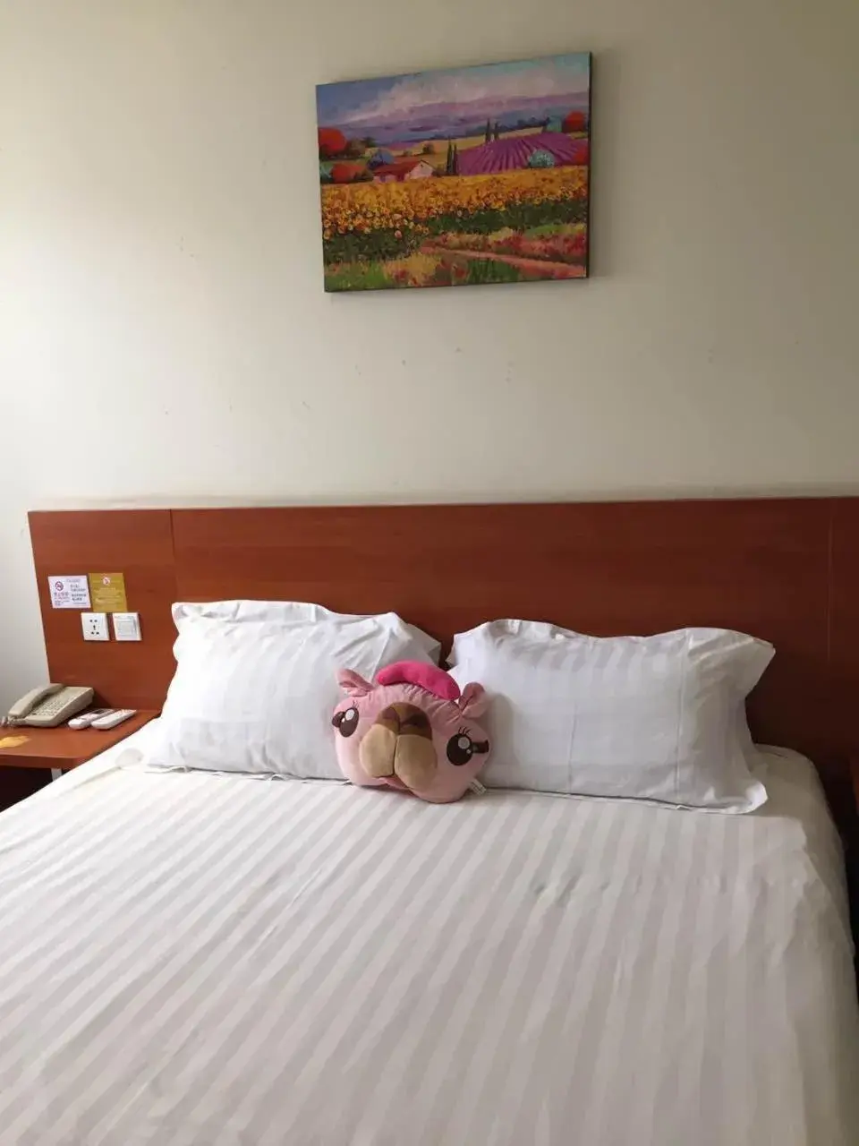 bunk bed, Bed in Goldmet Inn Beojing Capital Airport Xinguozhan bunk bed, Bed in Goldmet Inn Beojing Capital Airport Xinguozhan