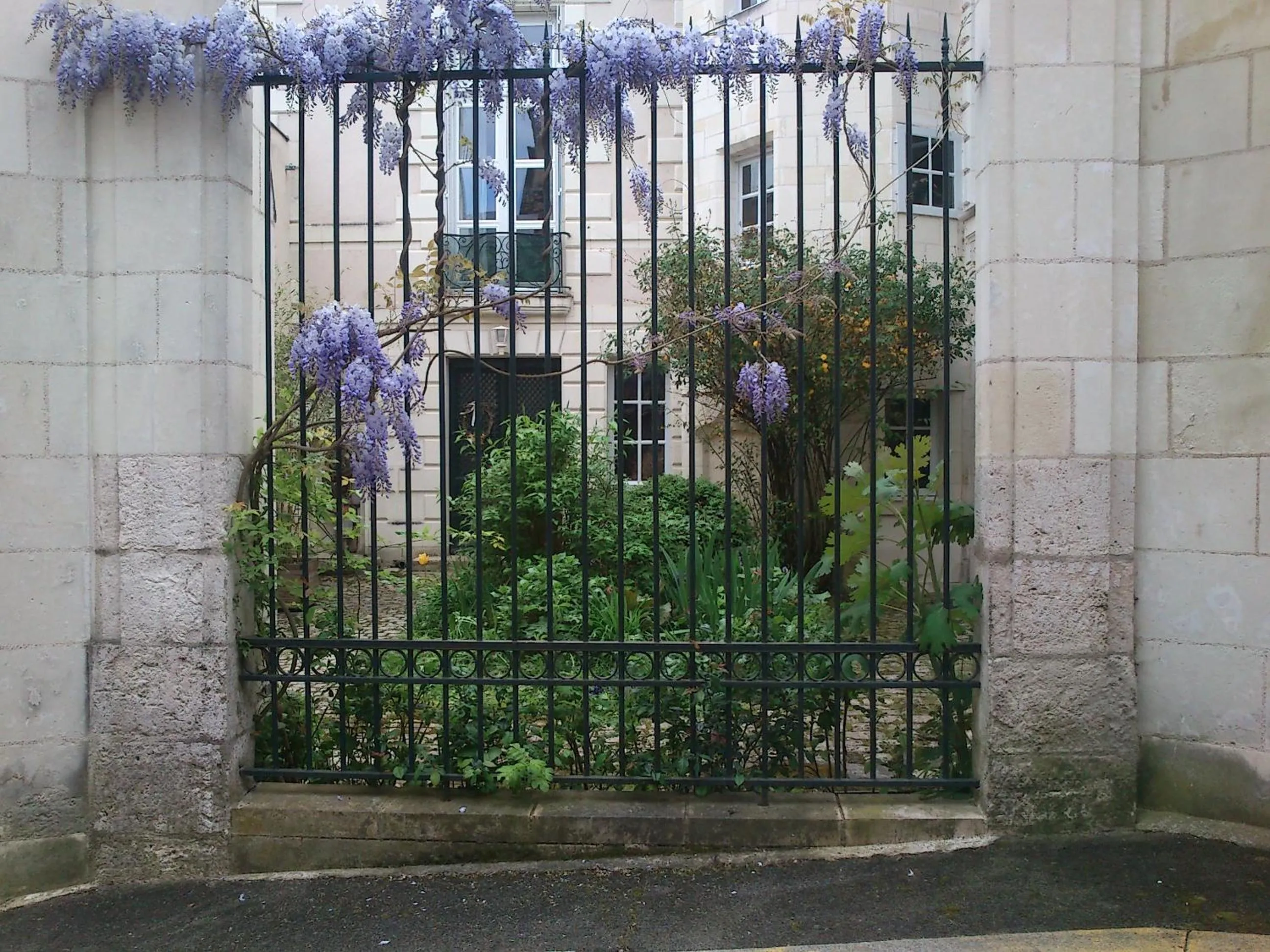 Property building in La Fenice Beauval