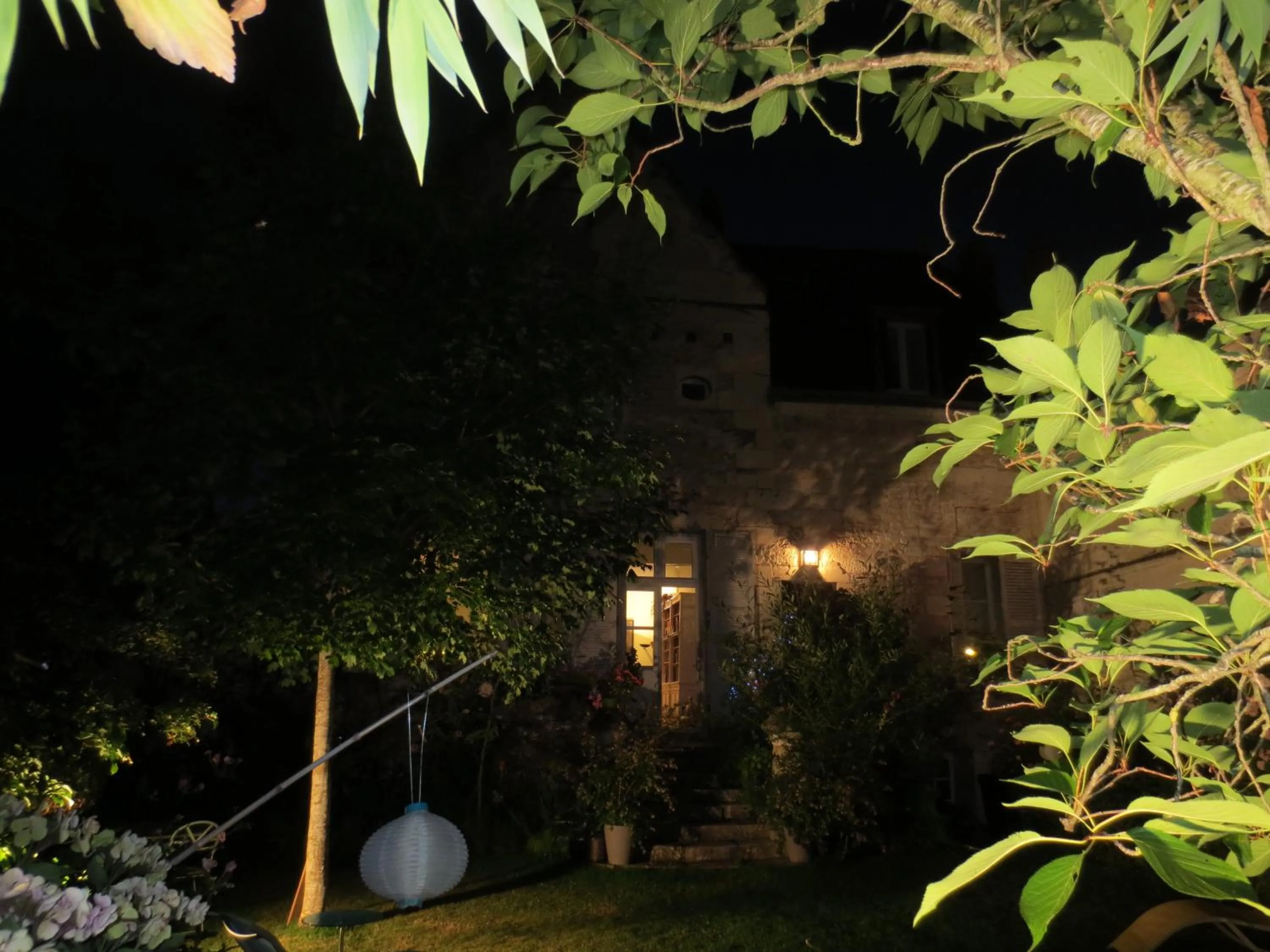 Garden view in La Fenice Beauval