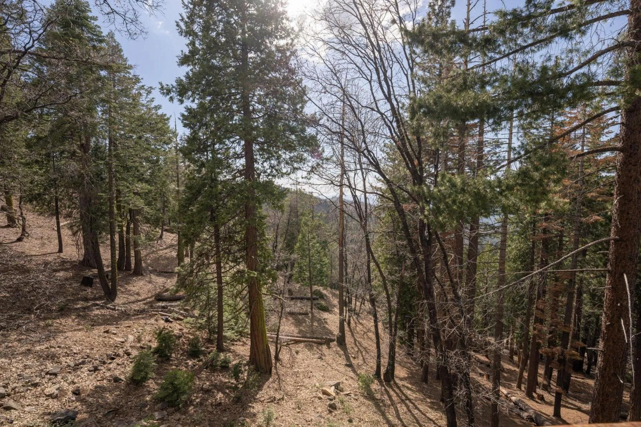 Falcons Nest (Upstairs)