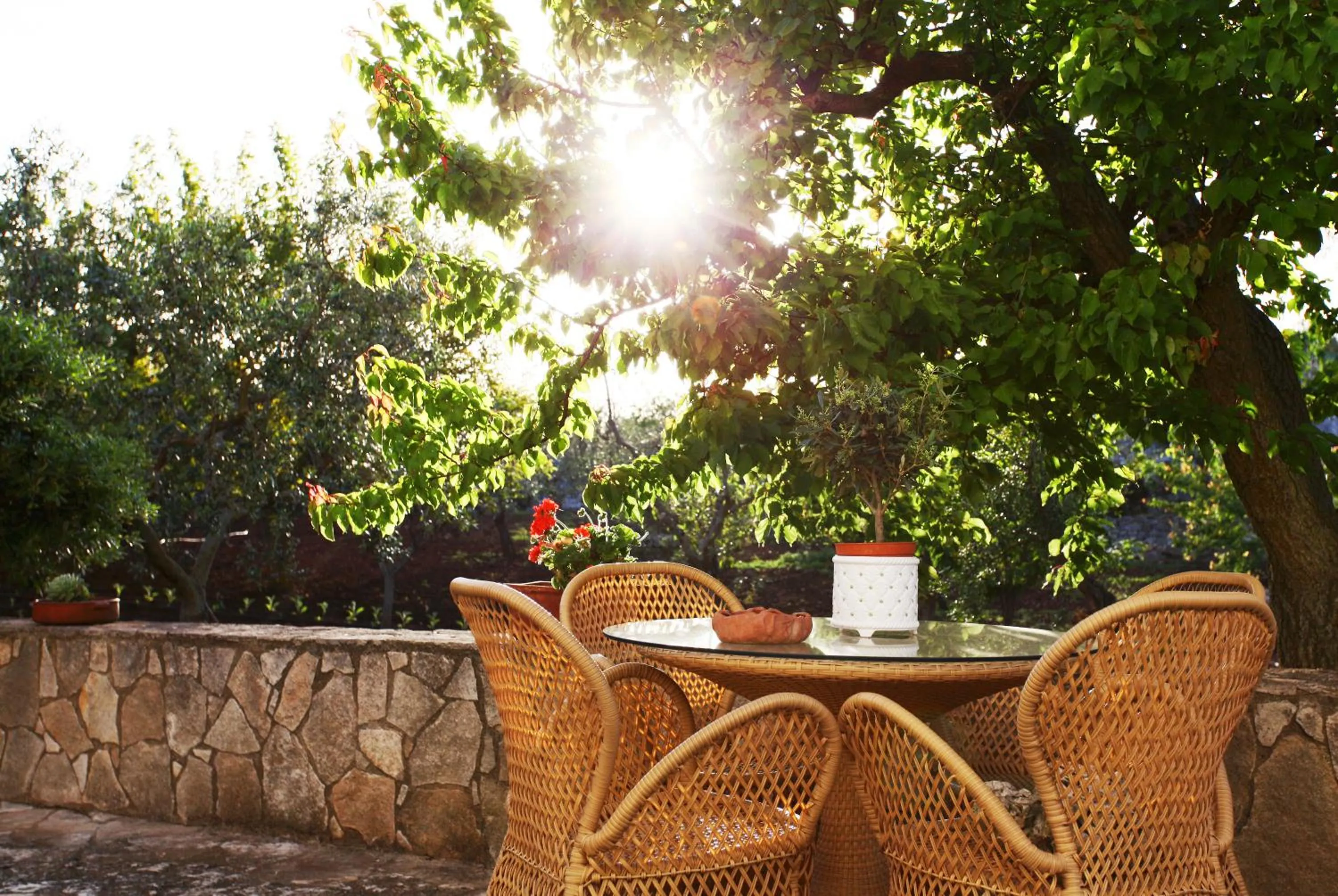 Bed & Breakfast dei Colli