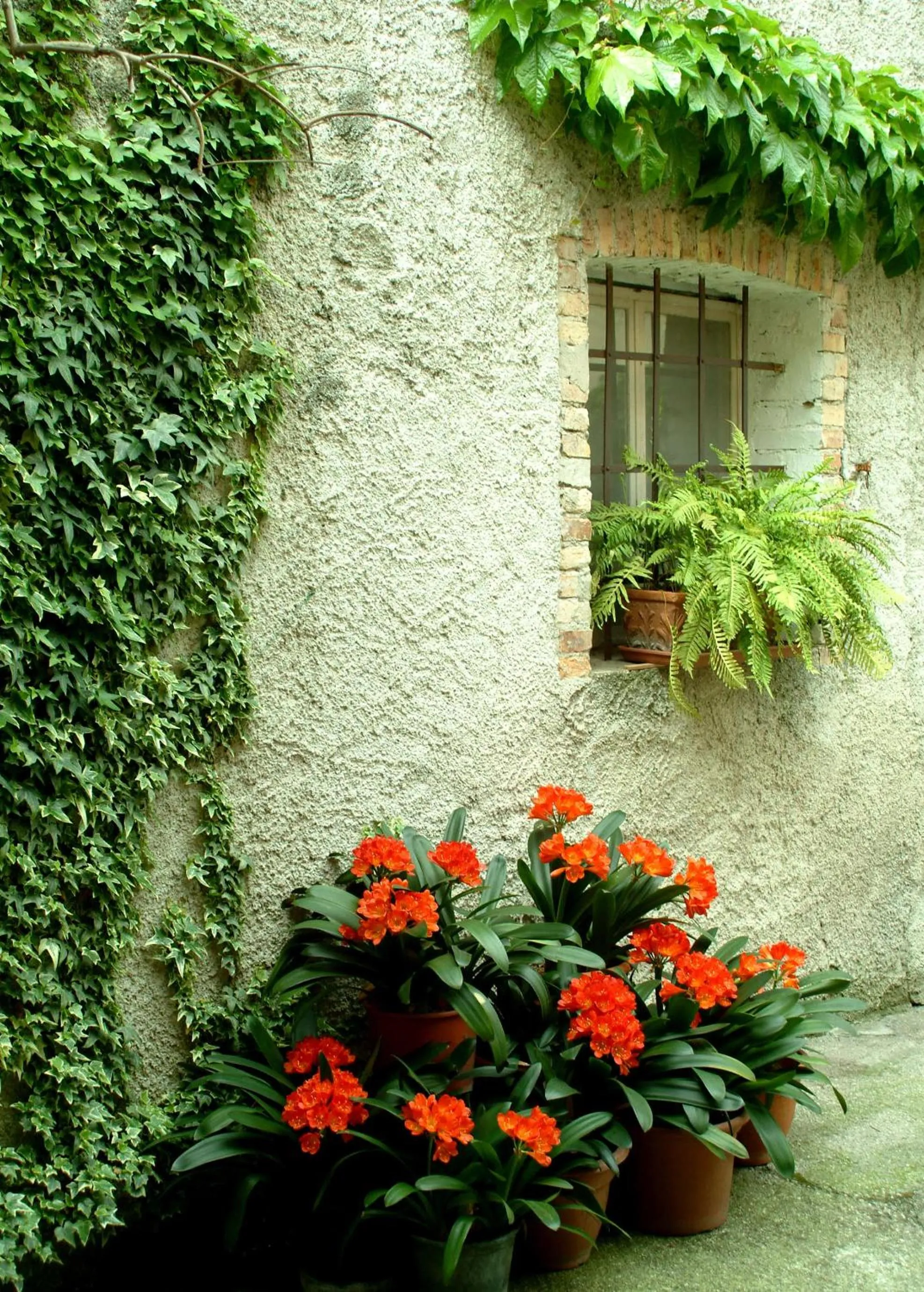 Garden in B&B gil d'o