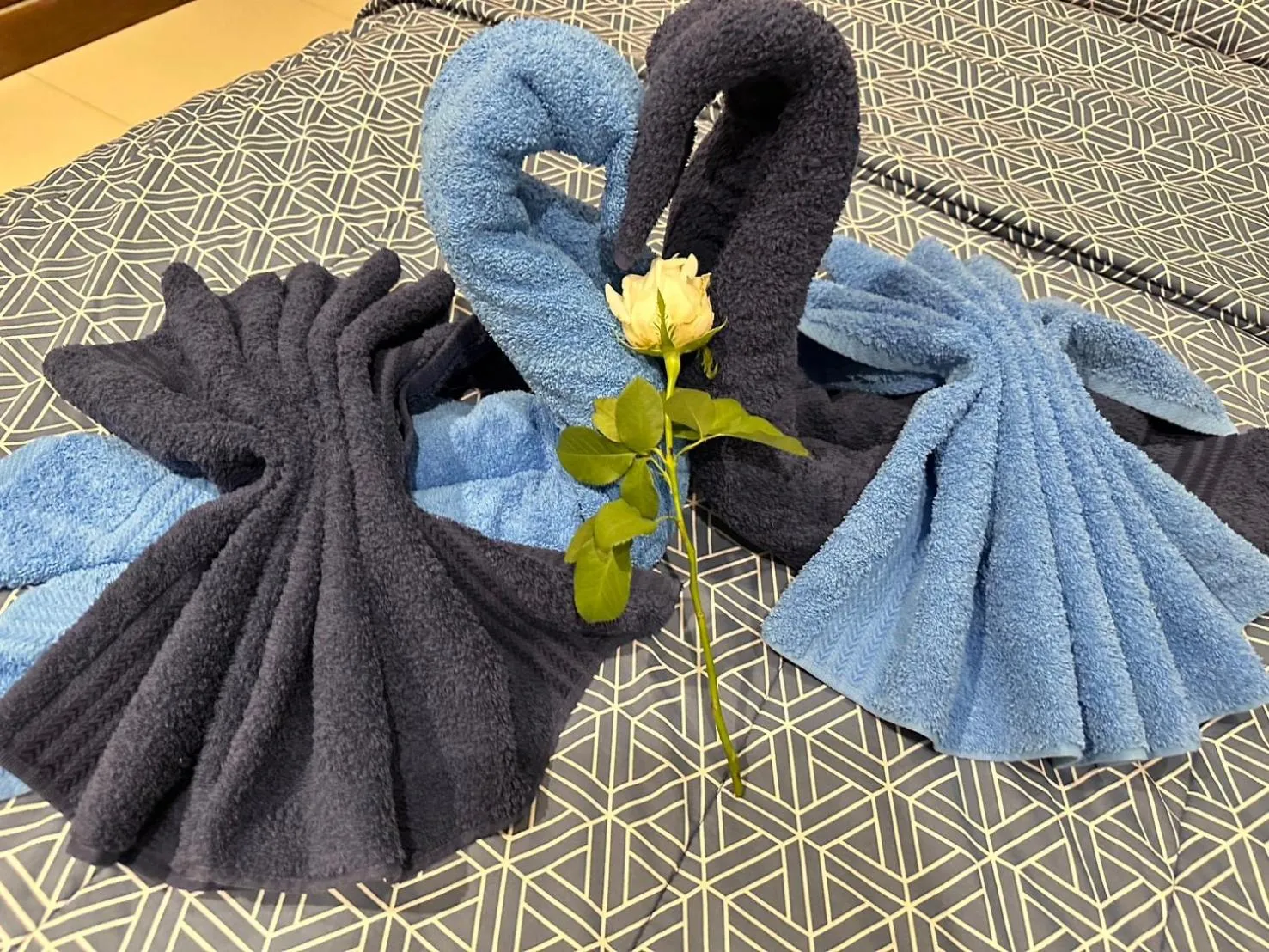 Nuch's Apple Guest House