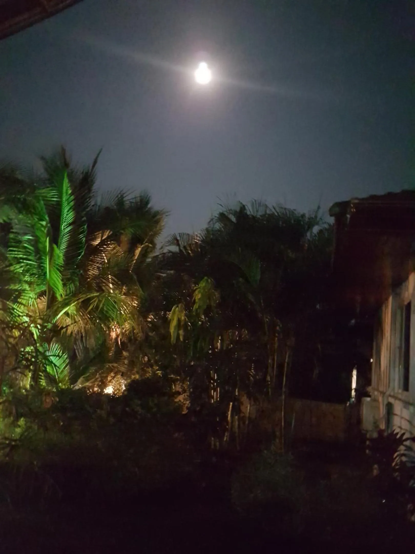 Night in Nuch's Apple Guest House