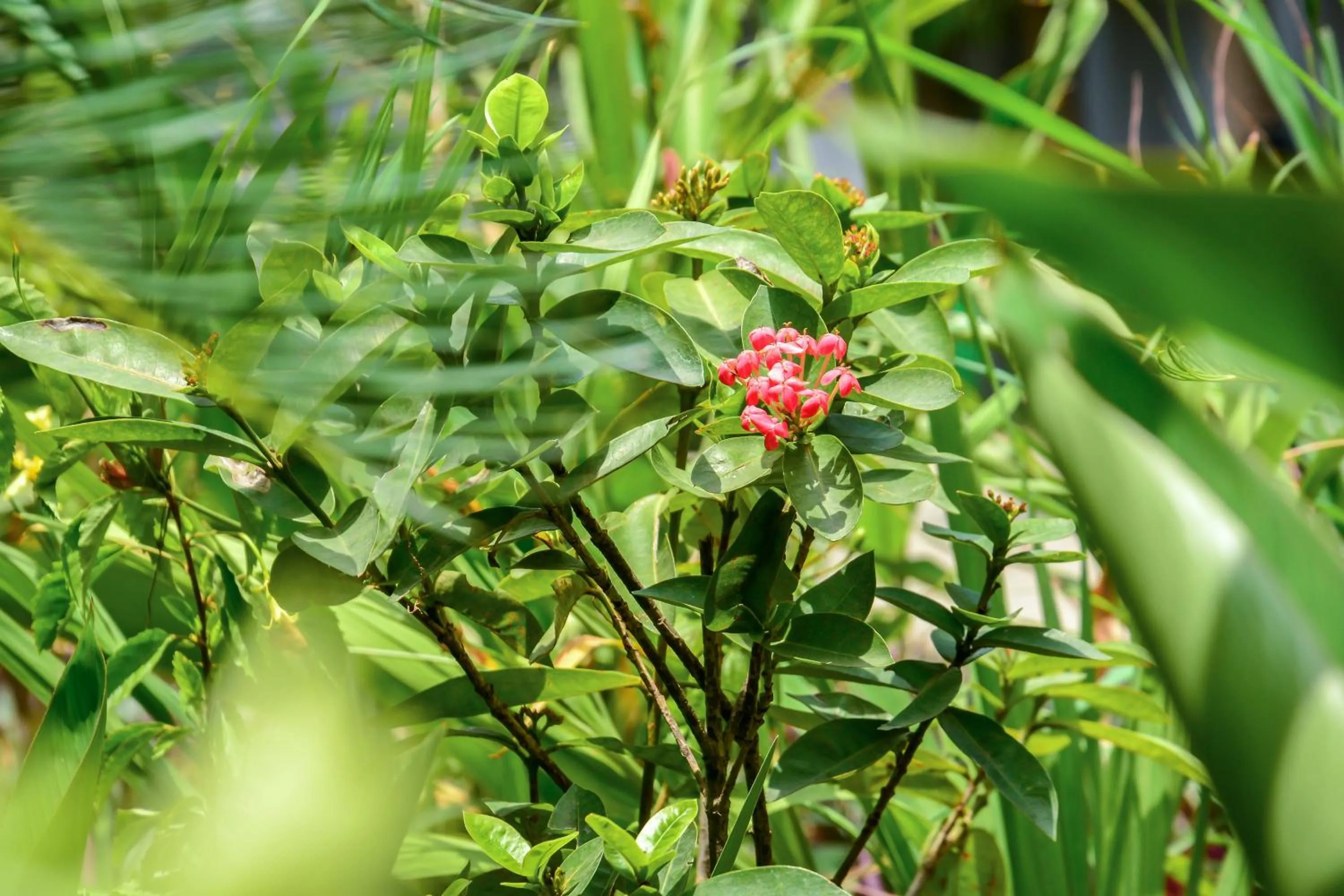 Property building in Nordic Villa