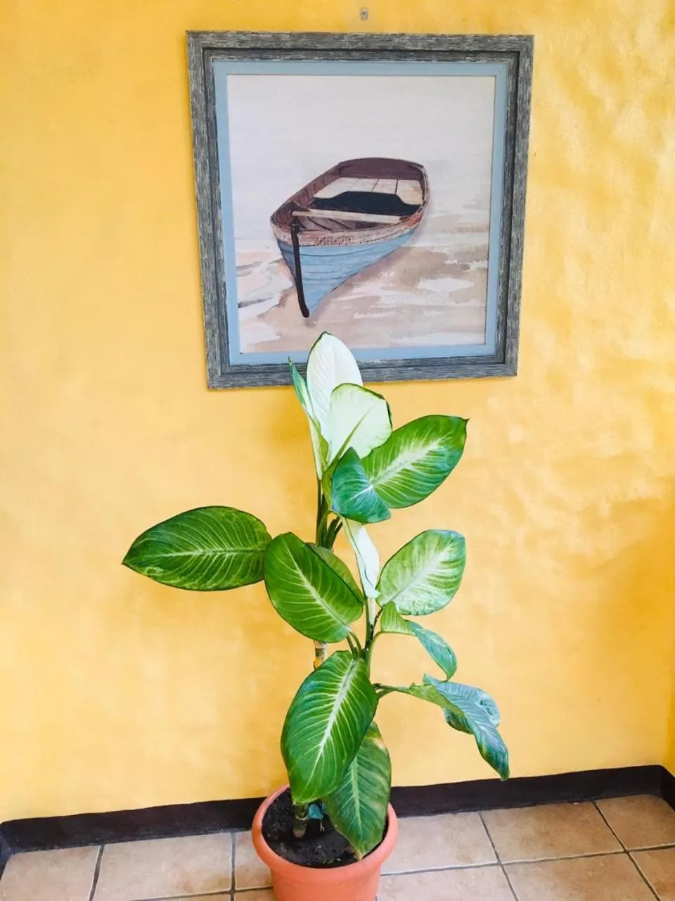 Hotel Casa Esmeralda