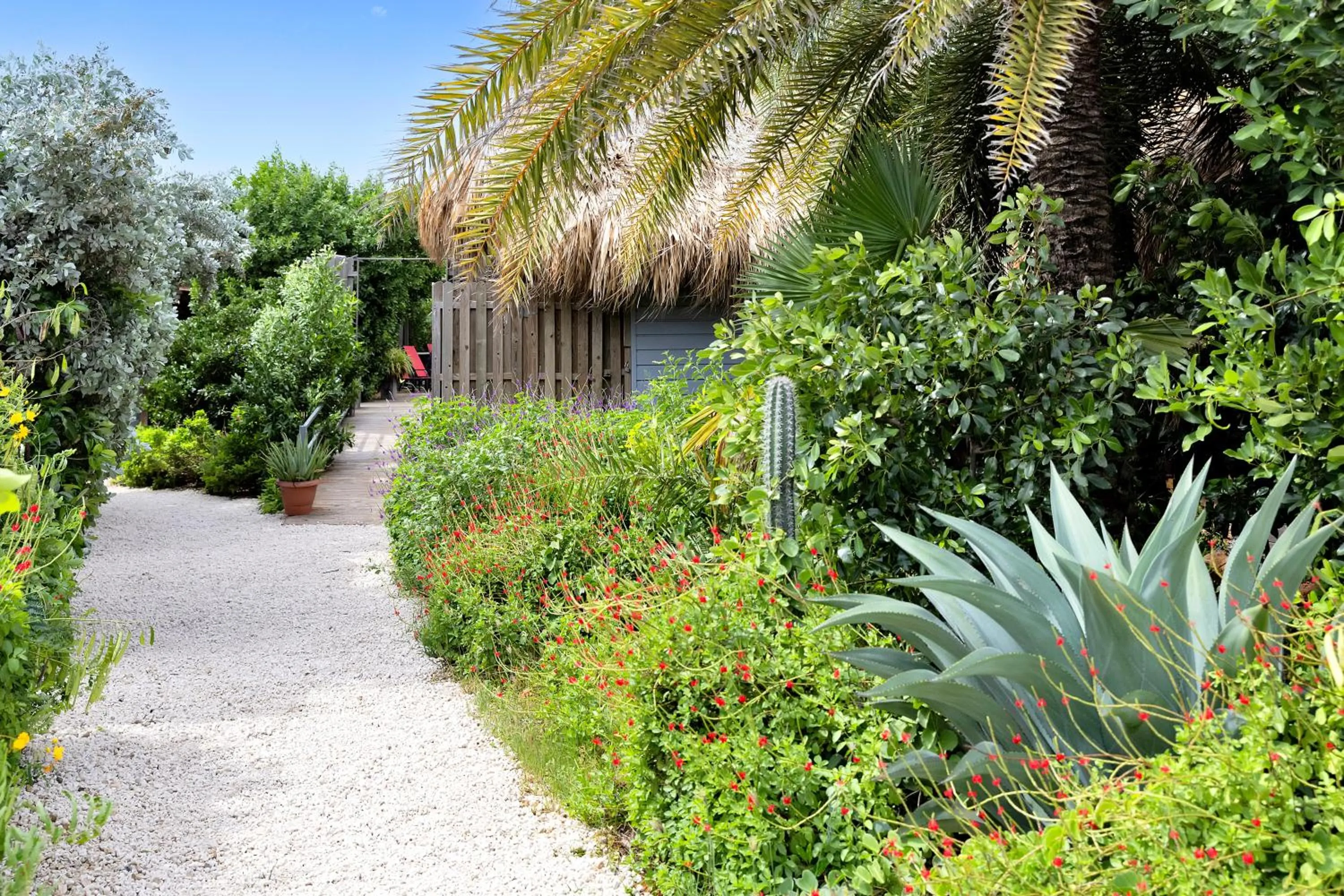 Garden in Red Palm Village