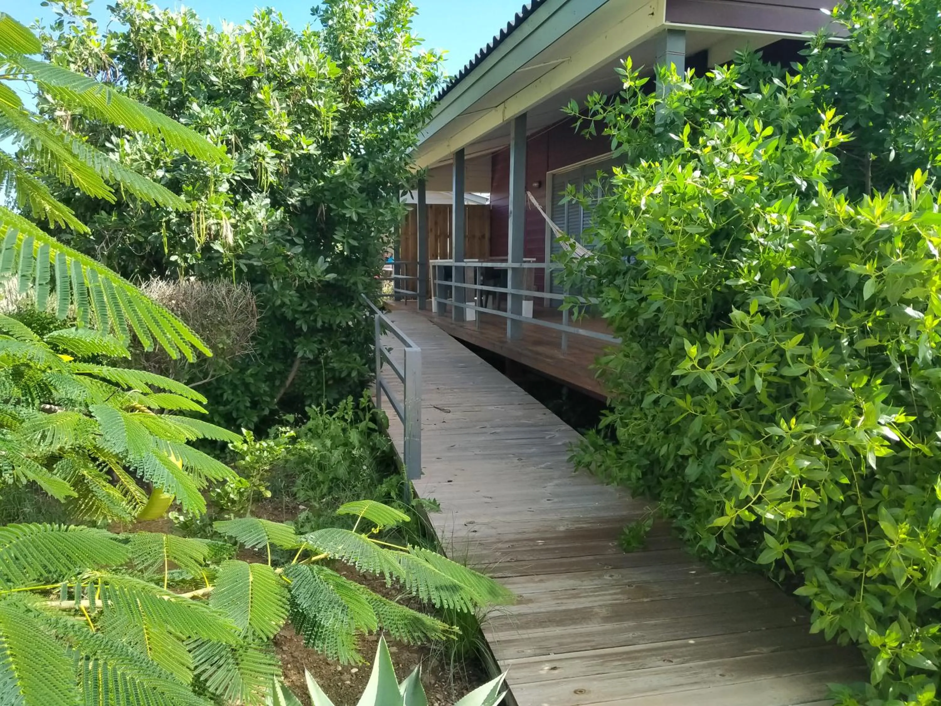 Other in Red Palm Village