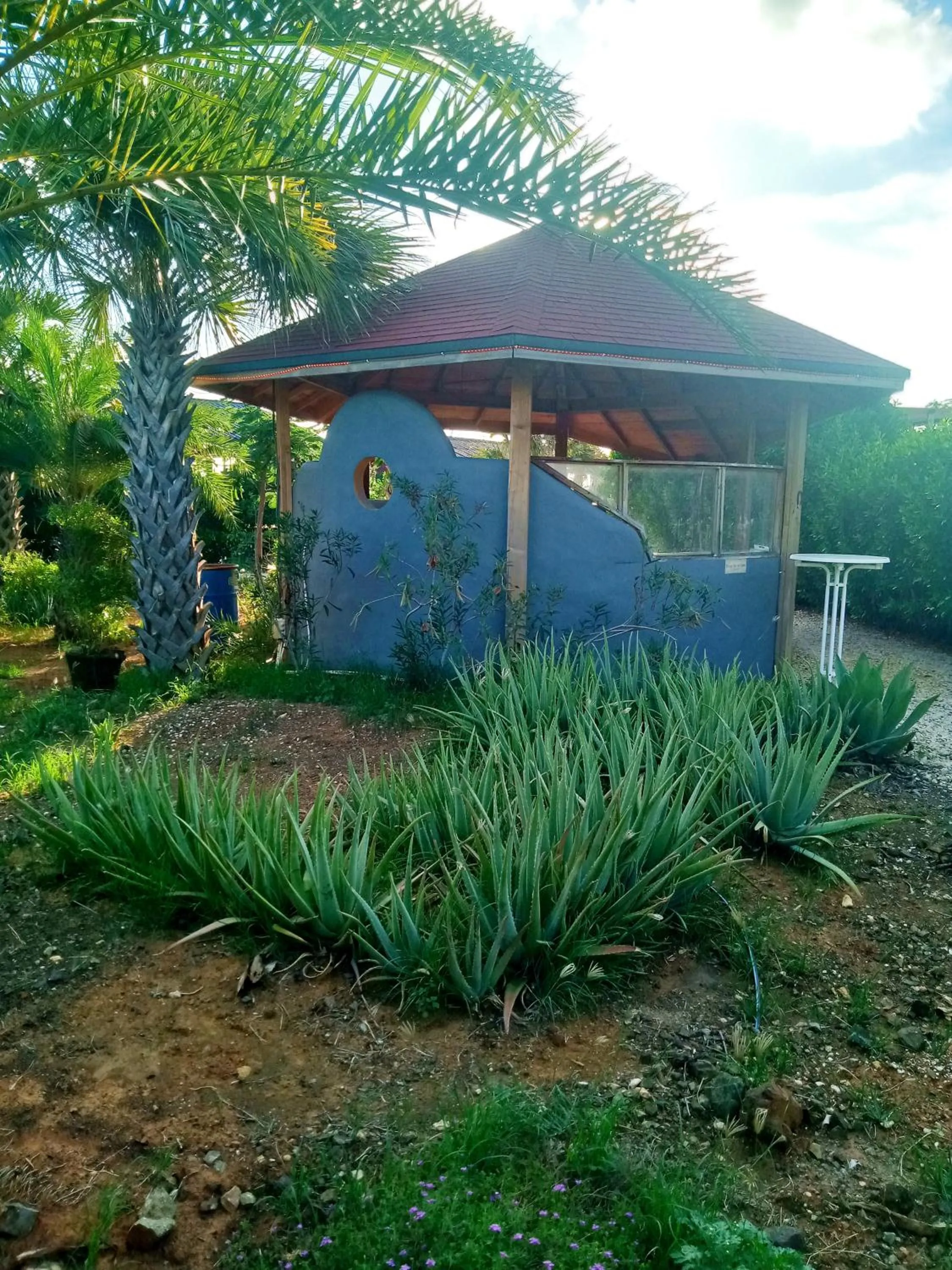 BBQ facilities in Red Palm Village