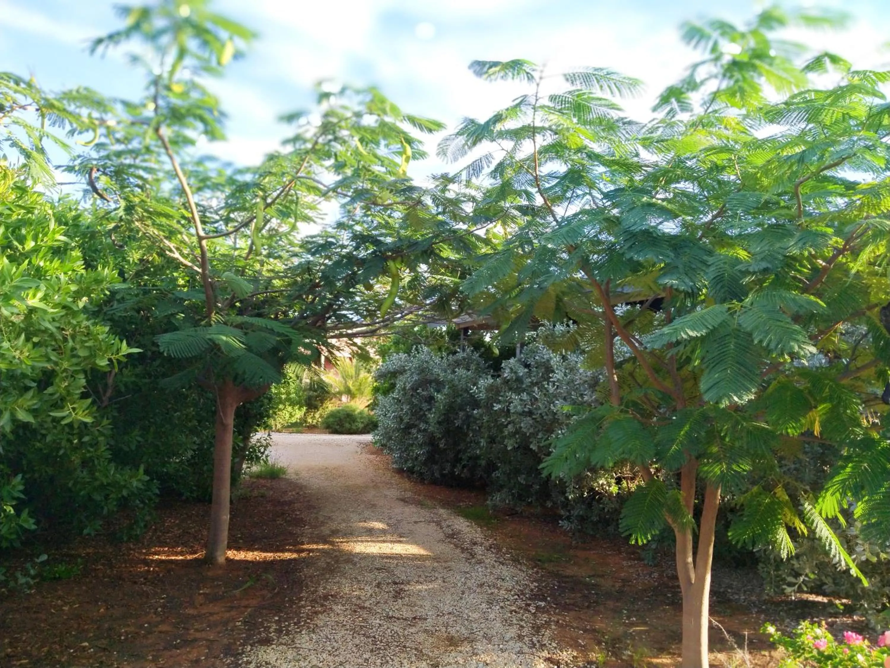Garden in Red Palm Village