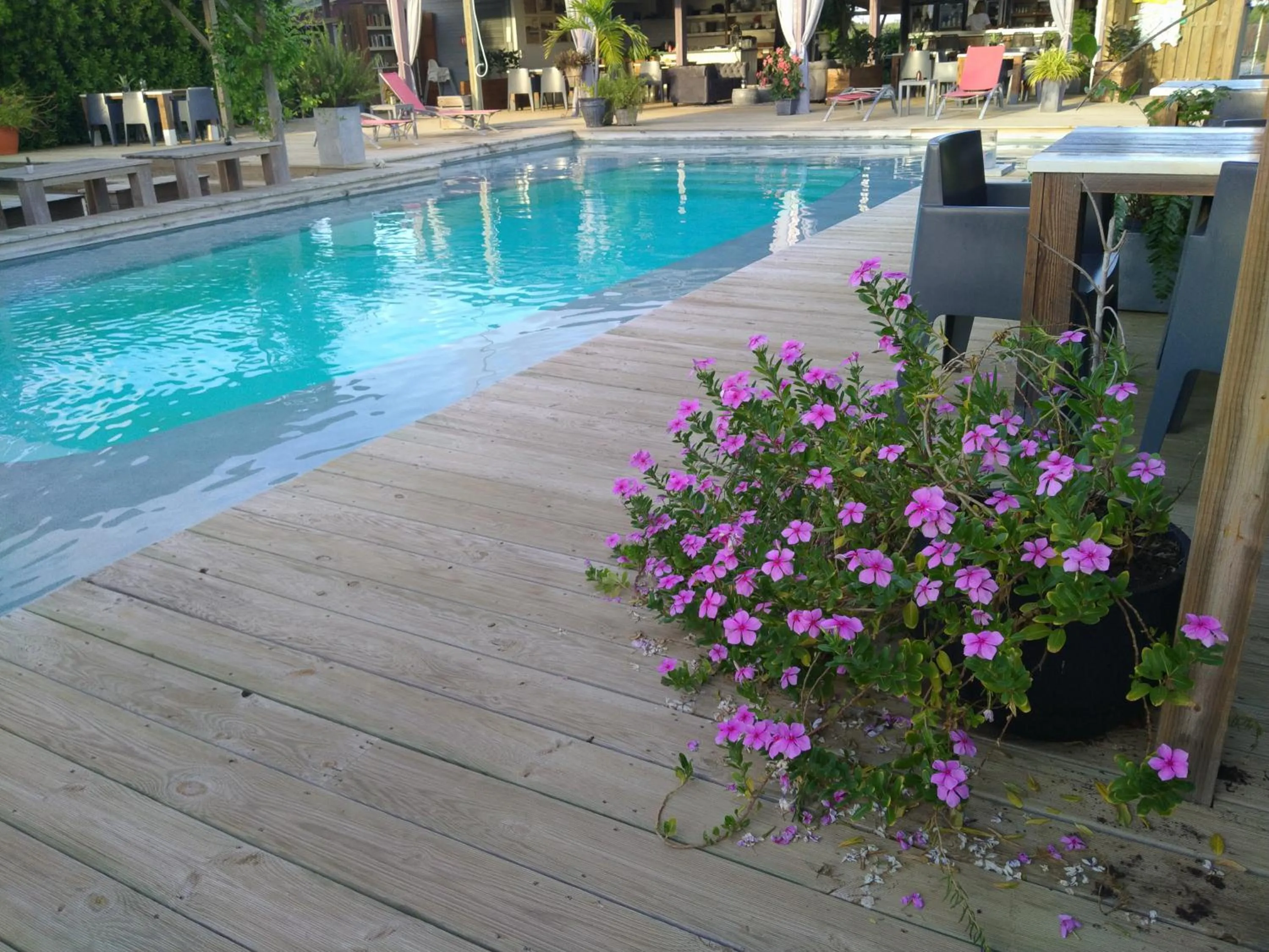 Swimming pool in Red Palm Village