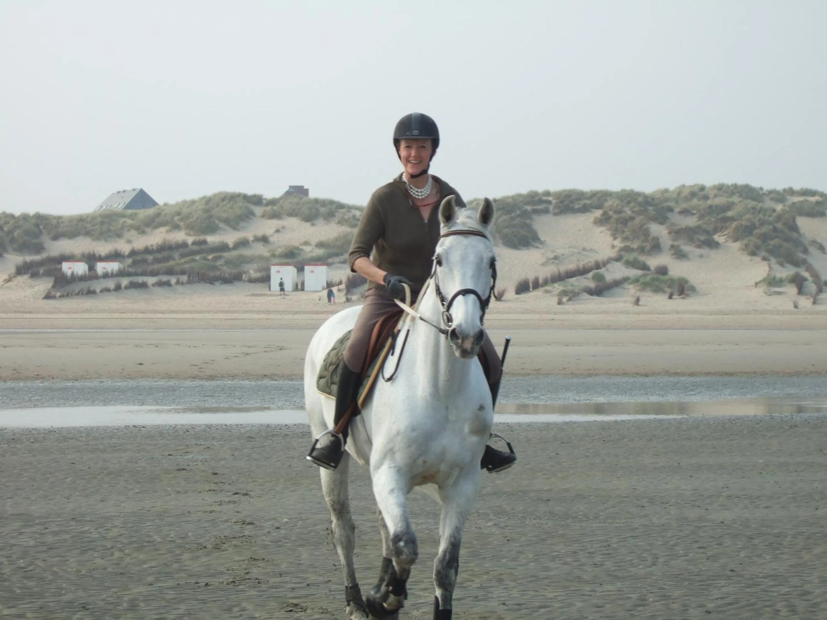 Horse-riding in B&B The Beachhouse