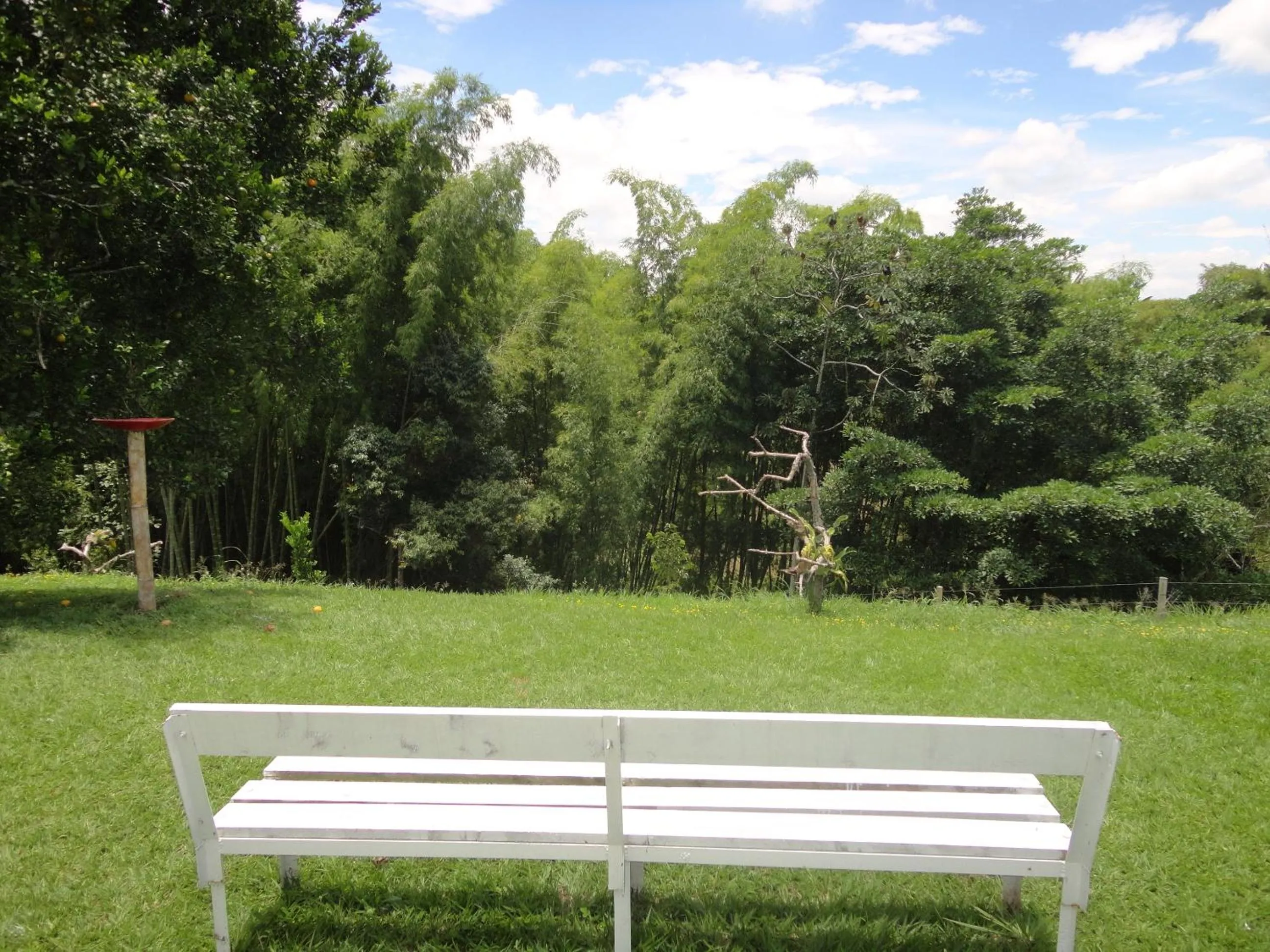 Garden in Finca Hotel Santana Campestre Quindio