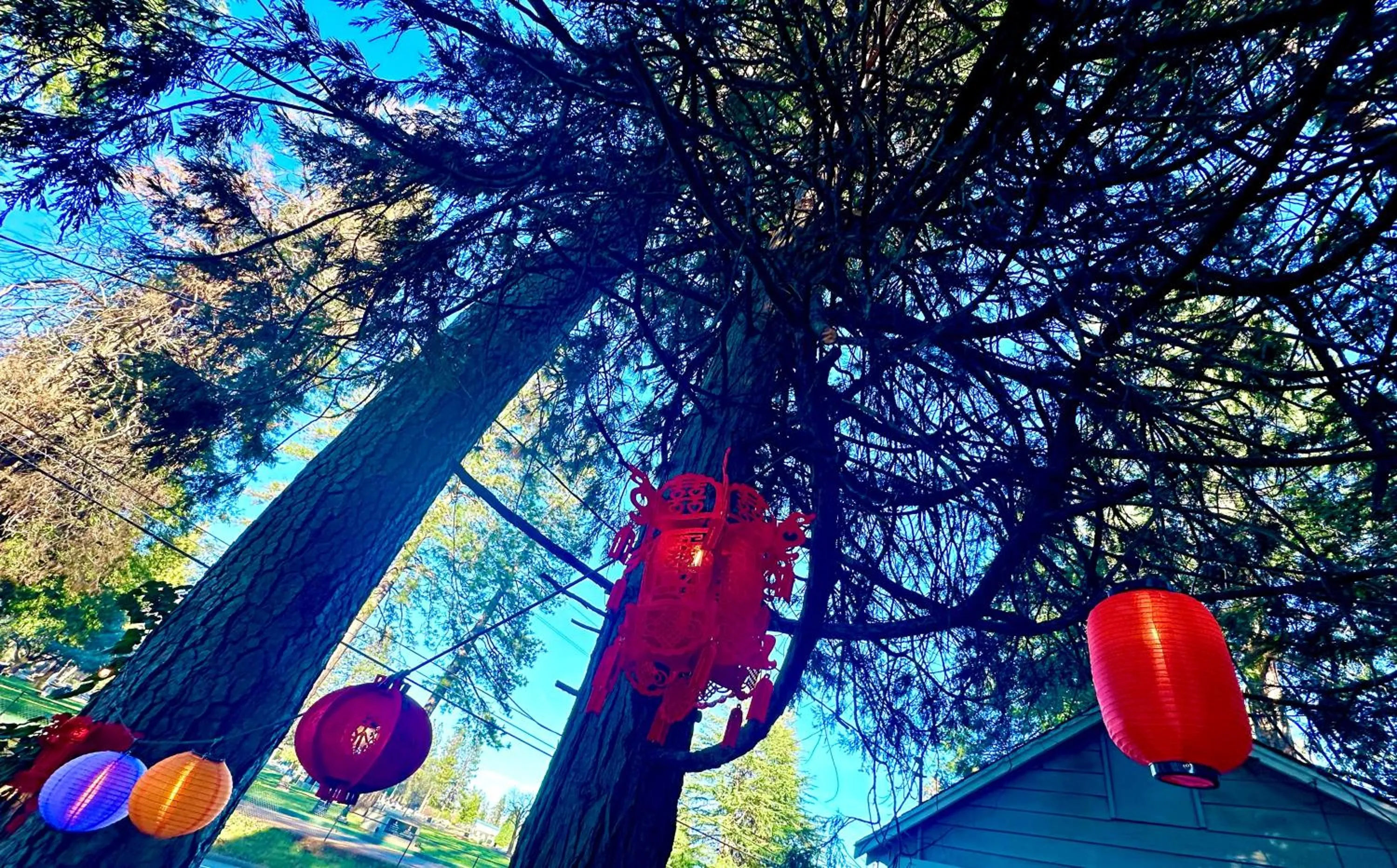 View (from property/room) in The Pines Inn and Cottages