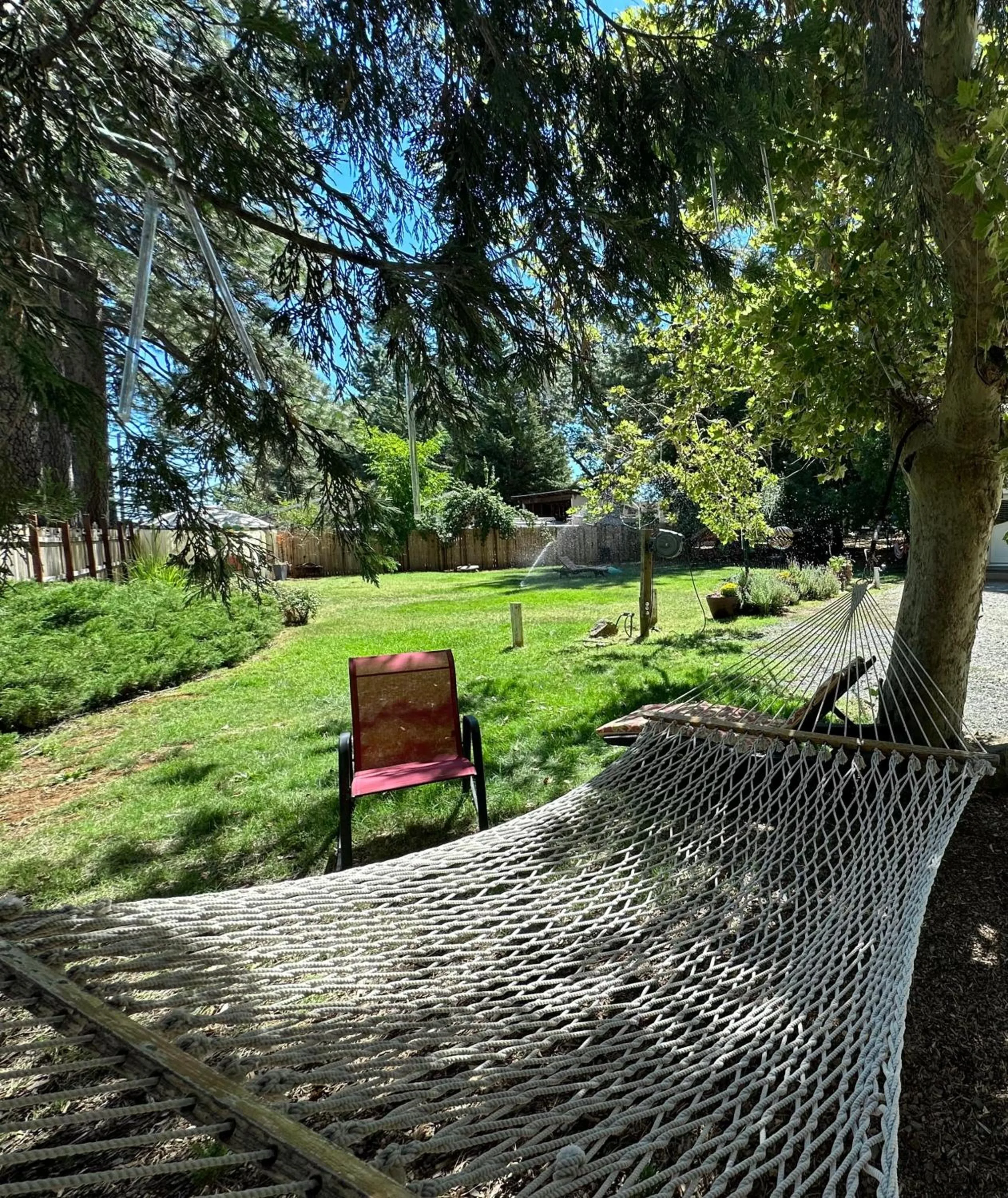 Garden view in The Pines Inn and Cottages