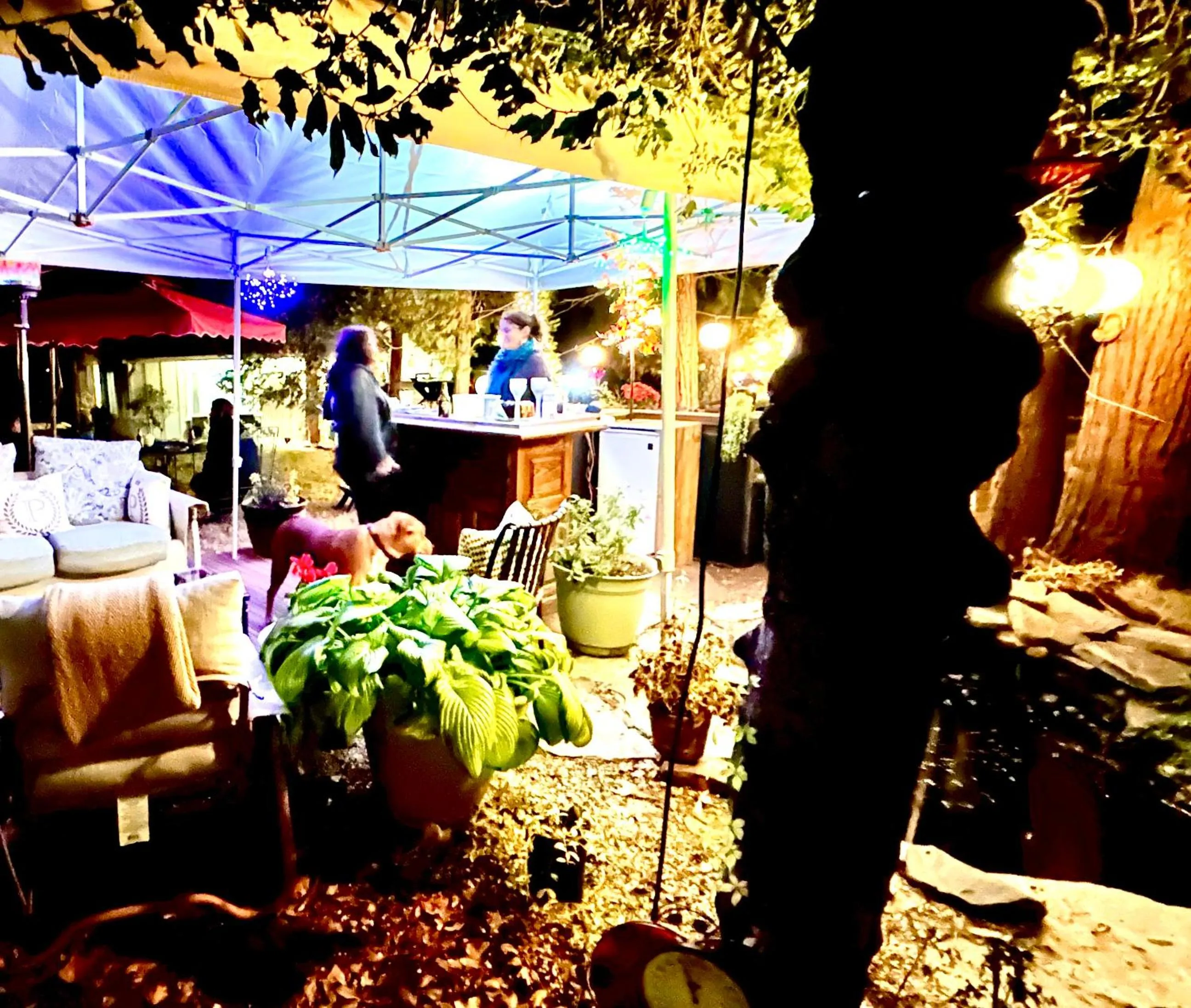 Patio in The Pines Inn and Cottages