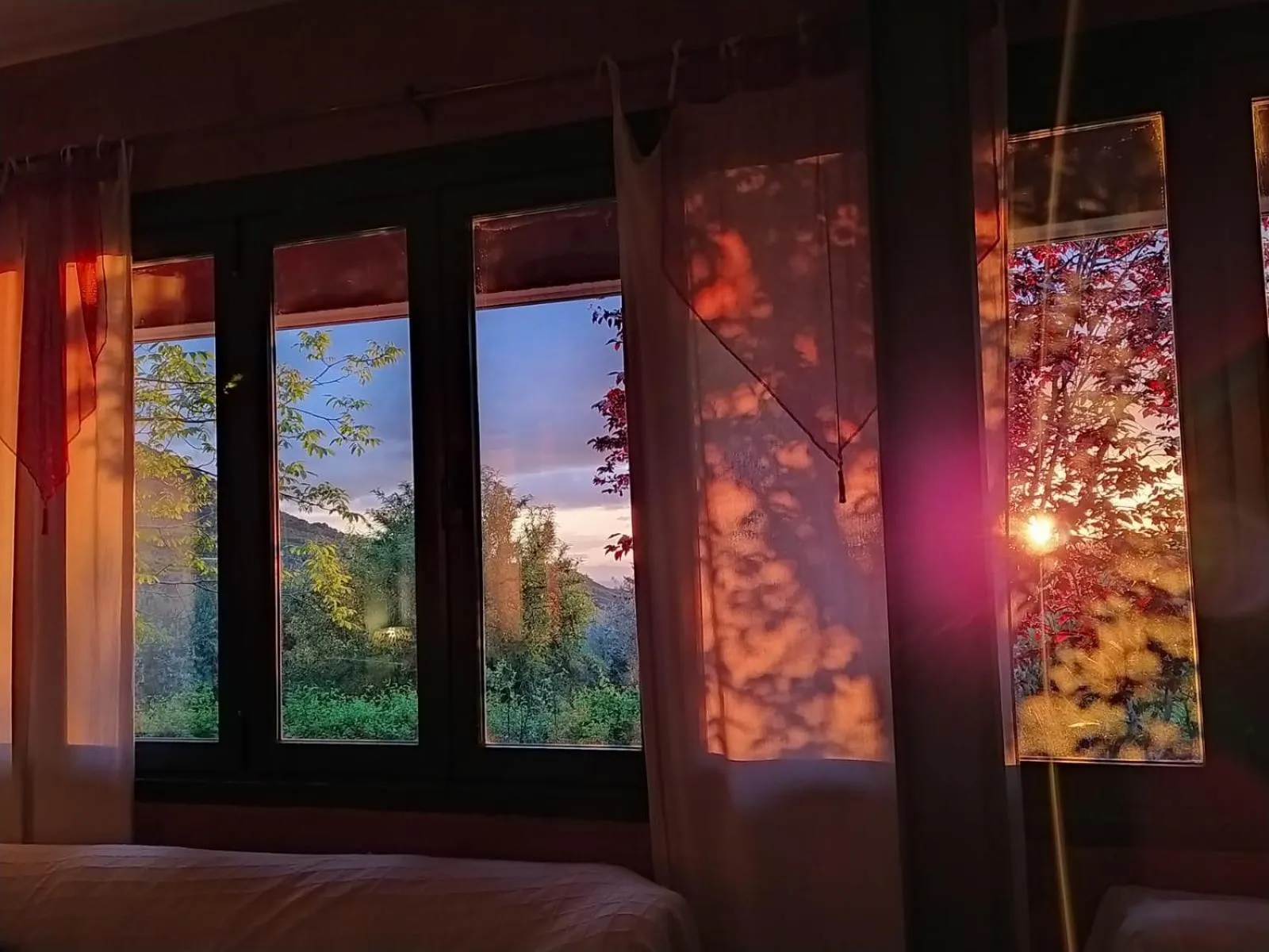 Garden view in Hotel Finca Aldabra