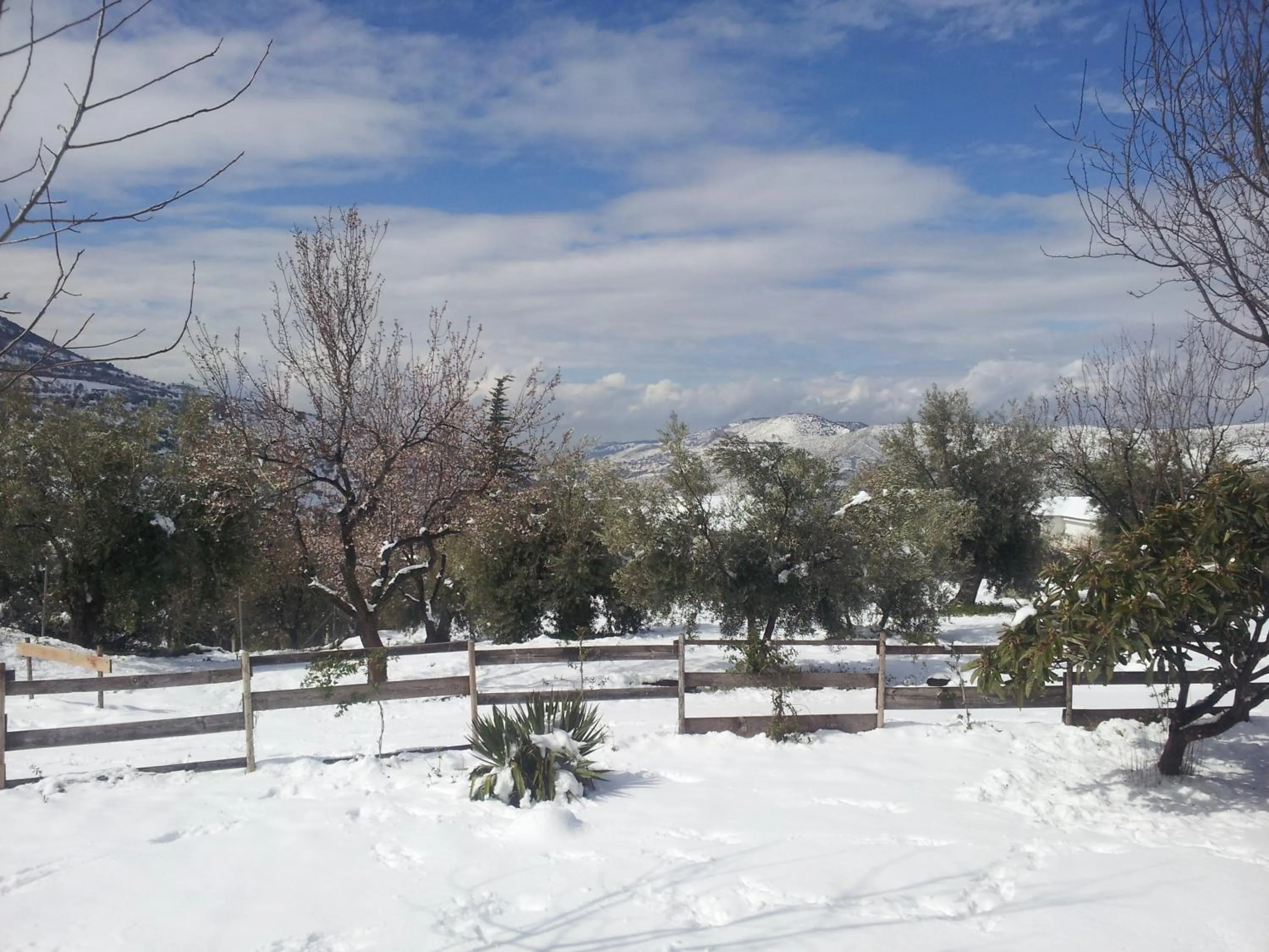 Garden in Hotel Finca Aldabra
