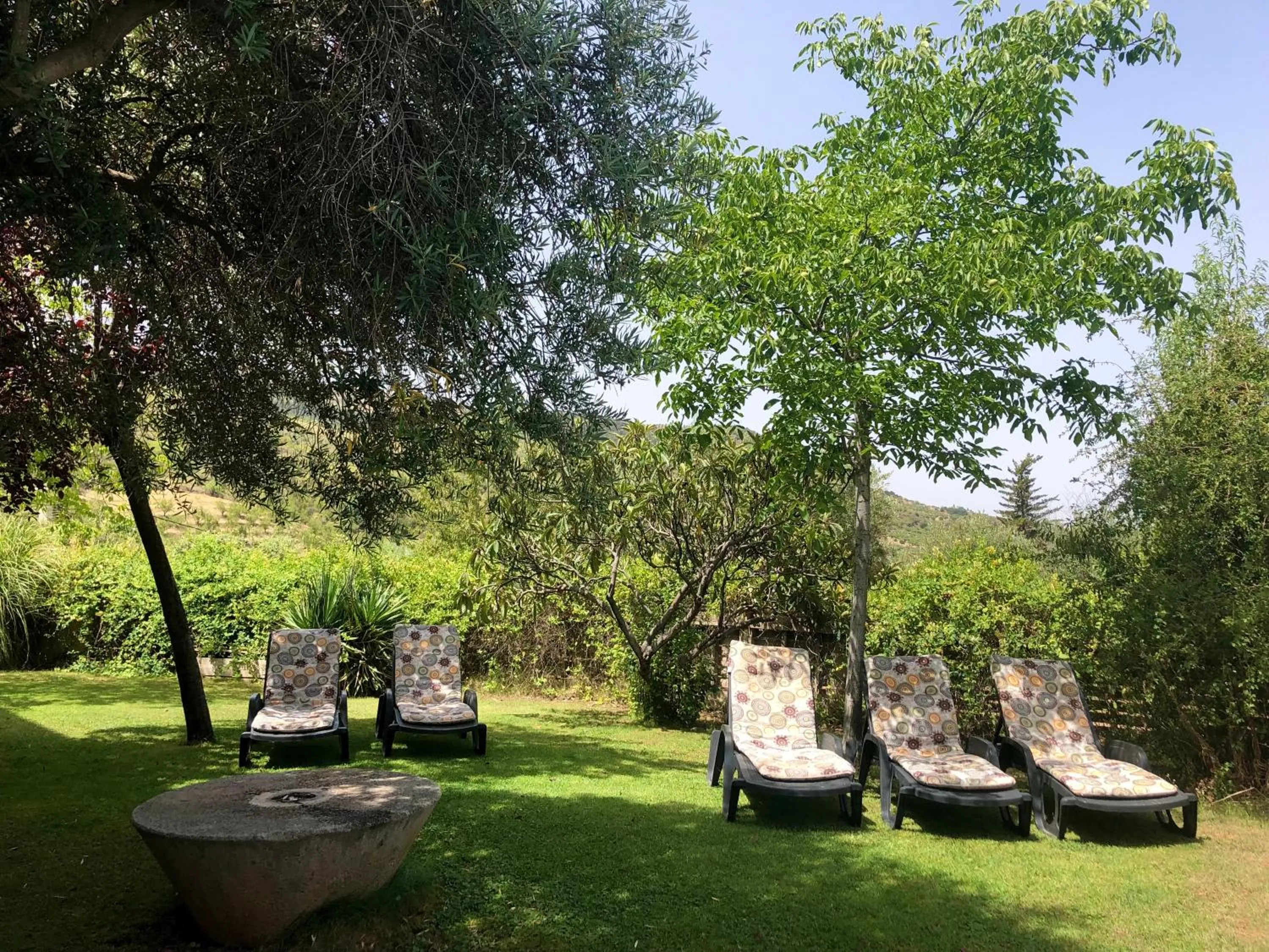 Garden in Hotel Finca Aldabra