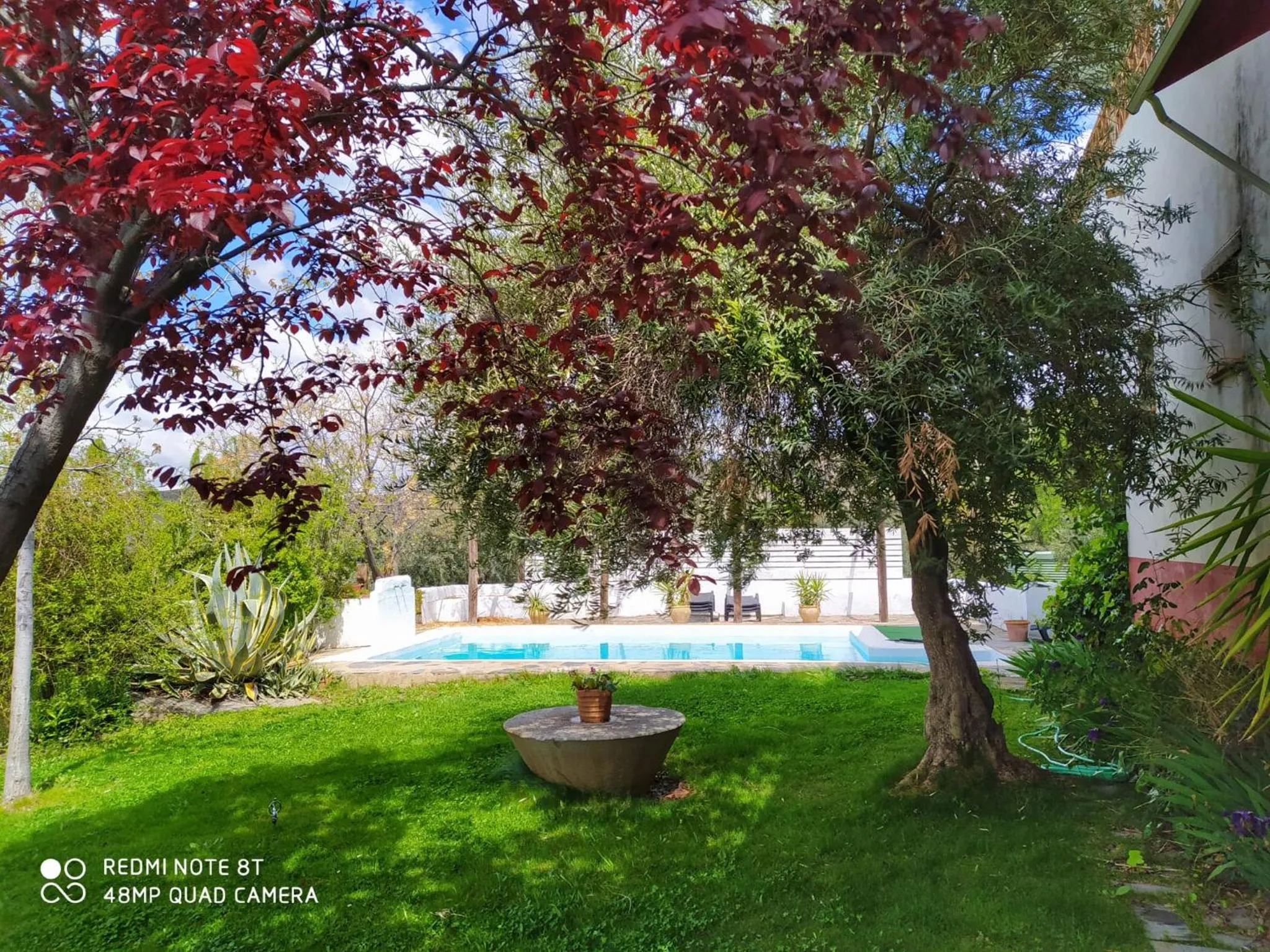 Swimming pool in Hotel Finca Aldabra