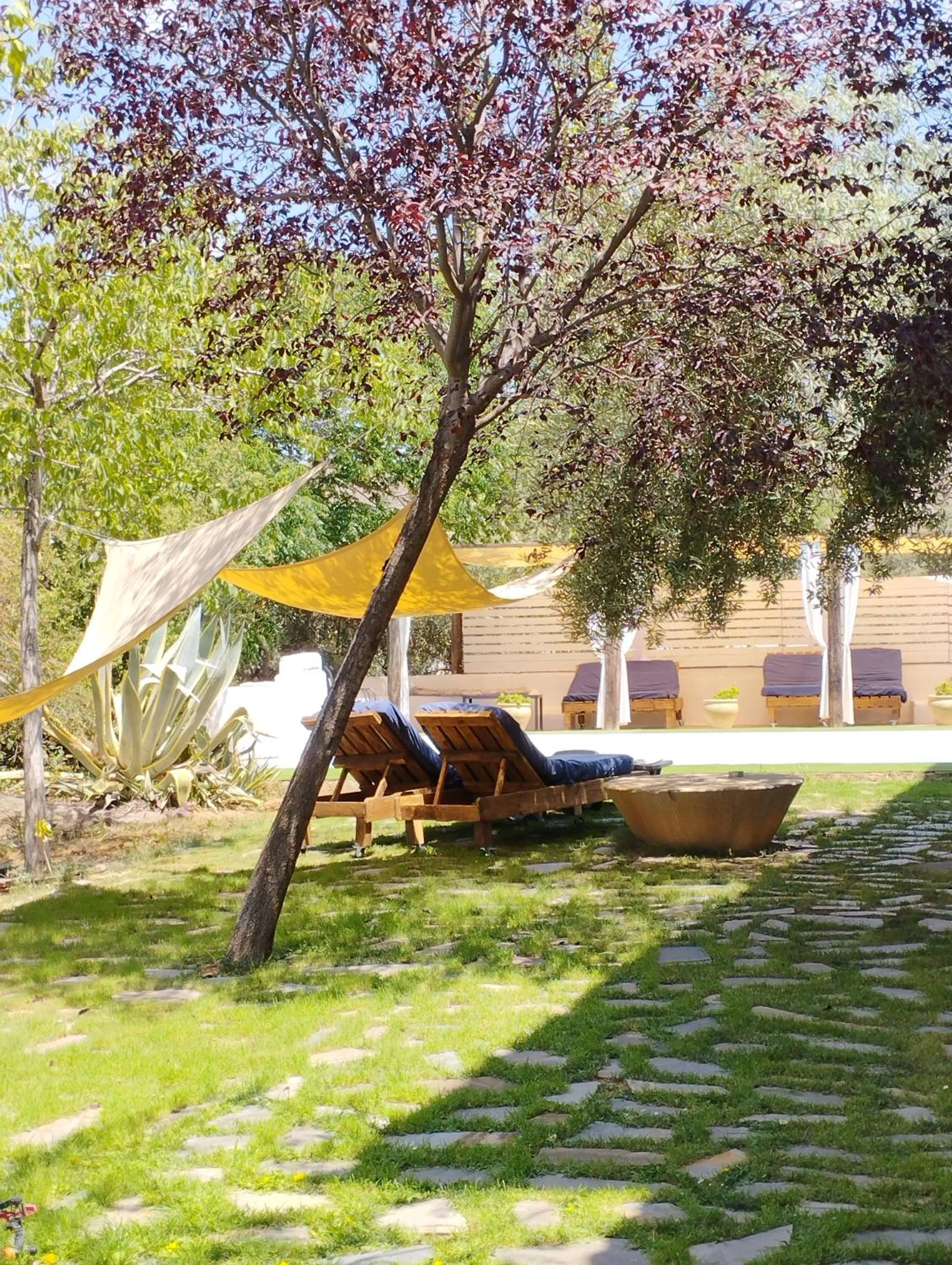 sunbed in Hotel Finca Aldabra