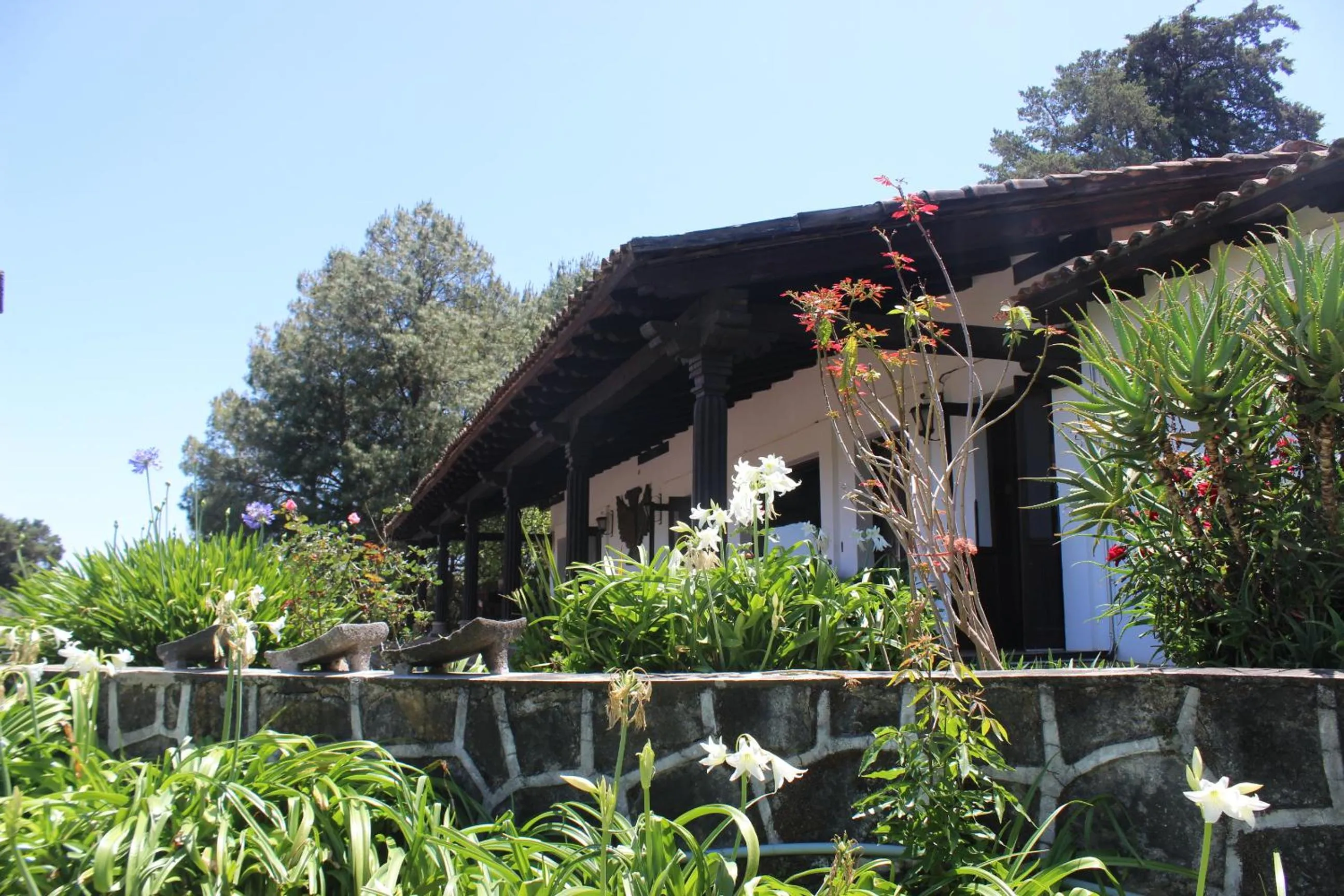 Garden in Villa del Lago
