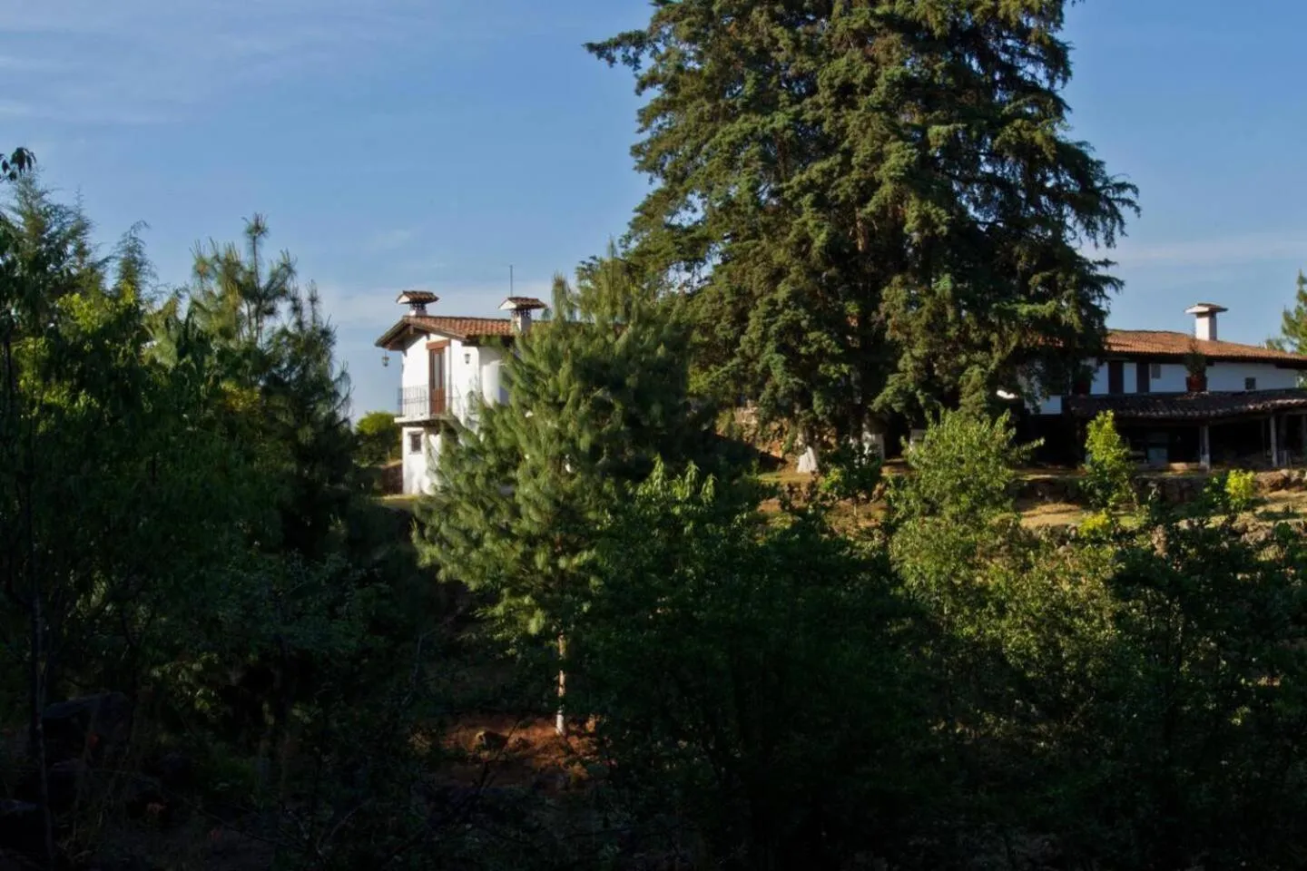 Garden view in Villa del Lago
