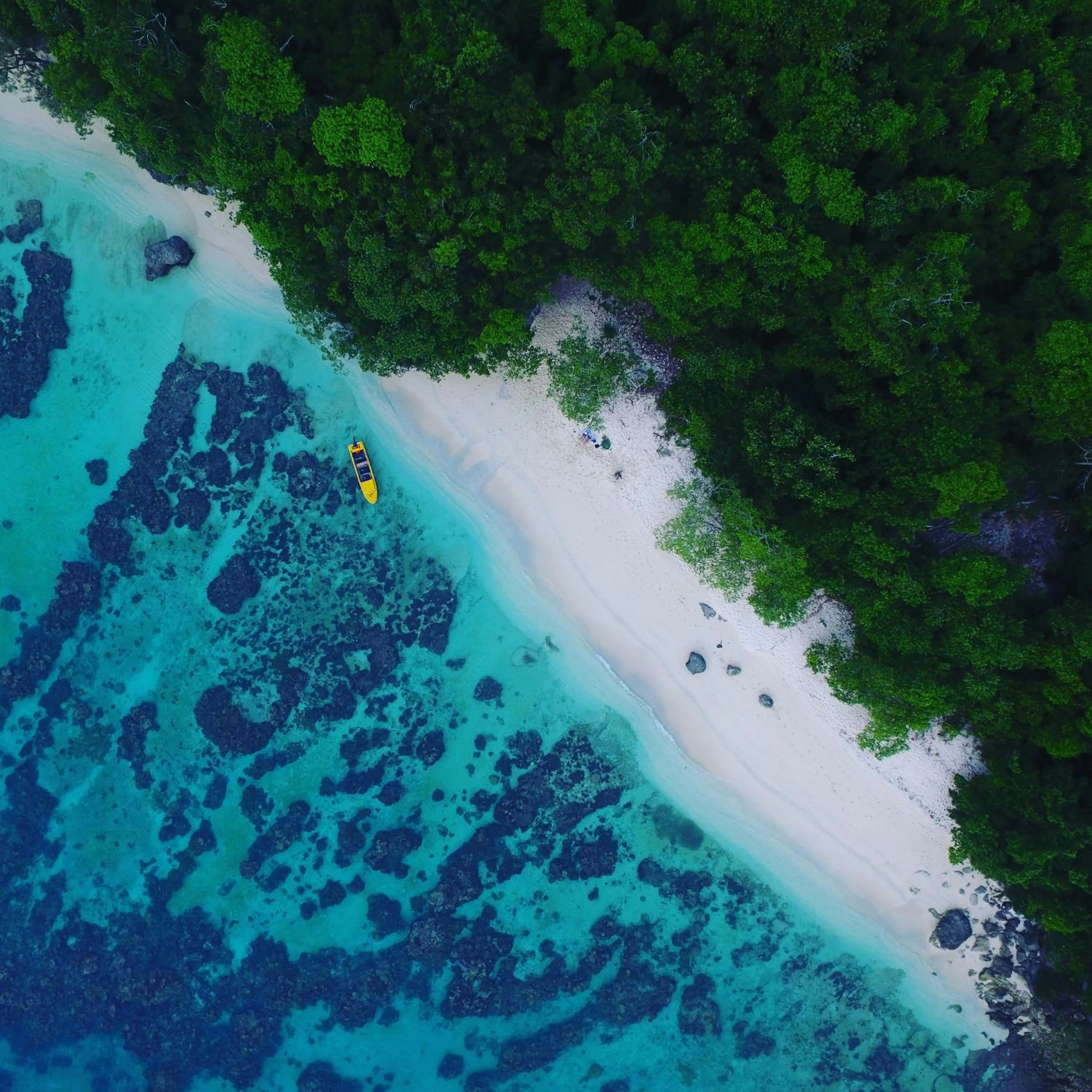 Bird's eye view in The Moso