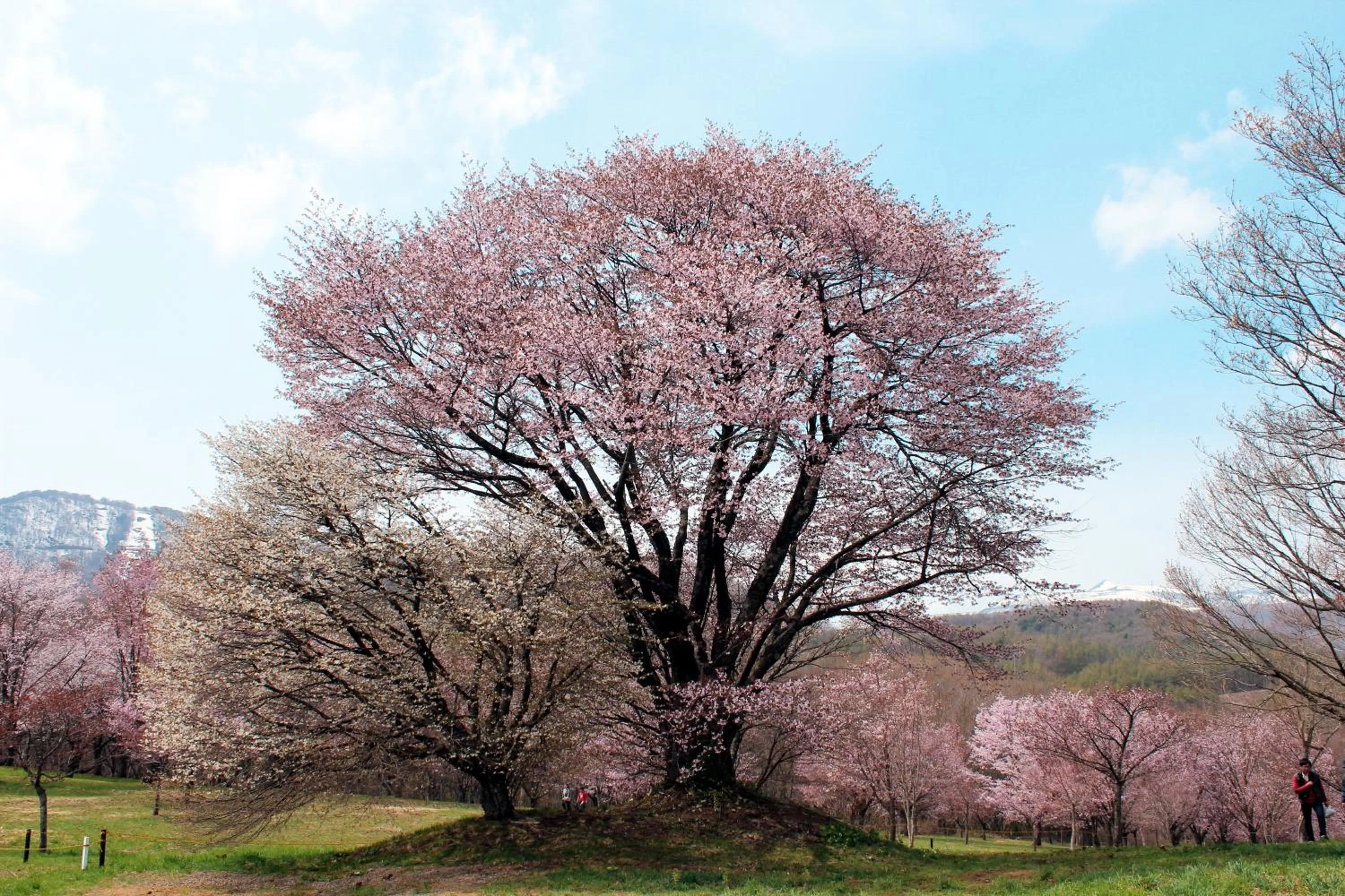 Natural landscape in Hachimantai Mountain Hotel & Spa