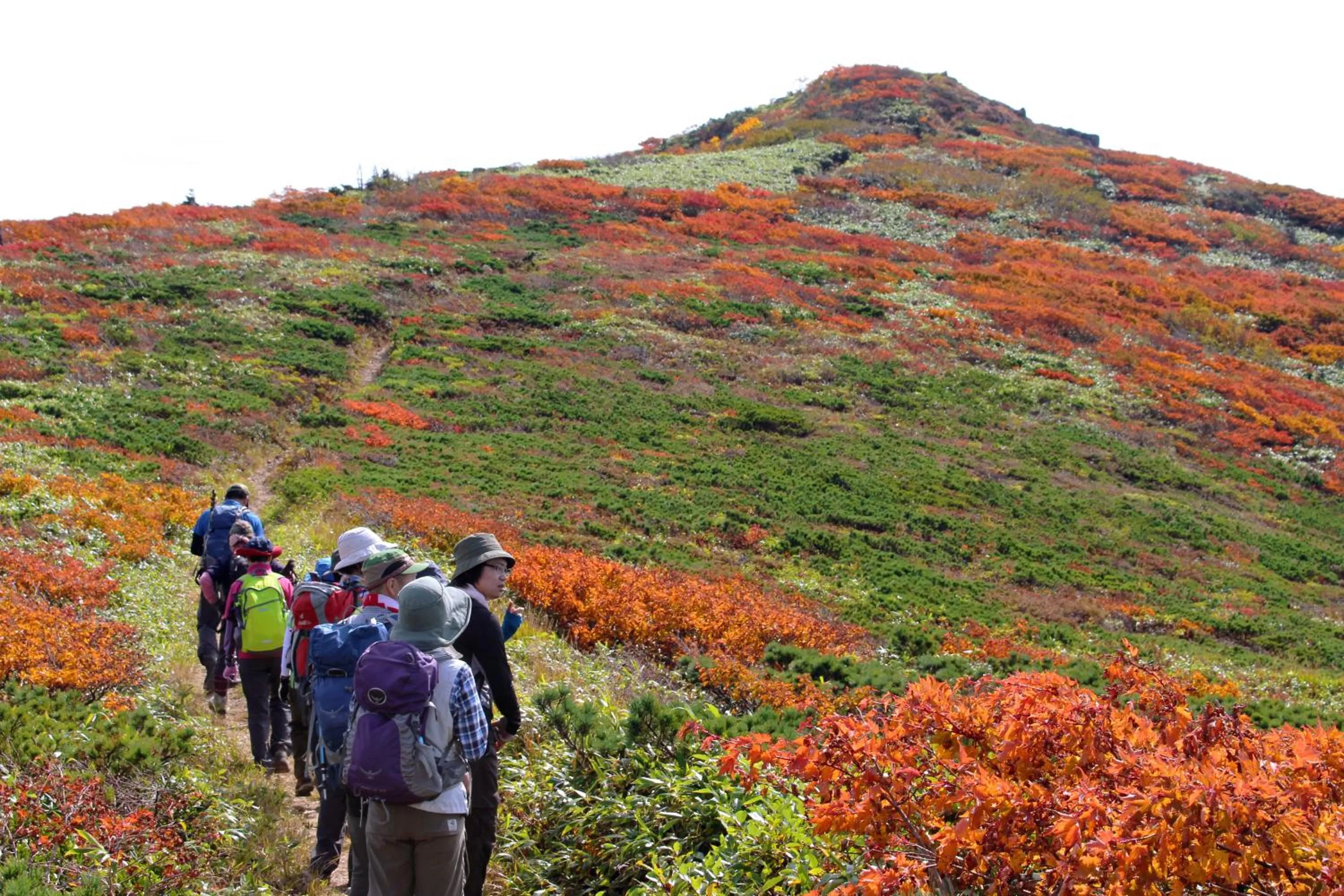 Natural landscape in Hachimantai Mountain Hotel & Spa