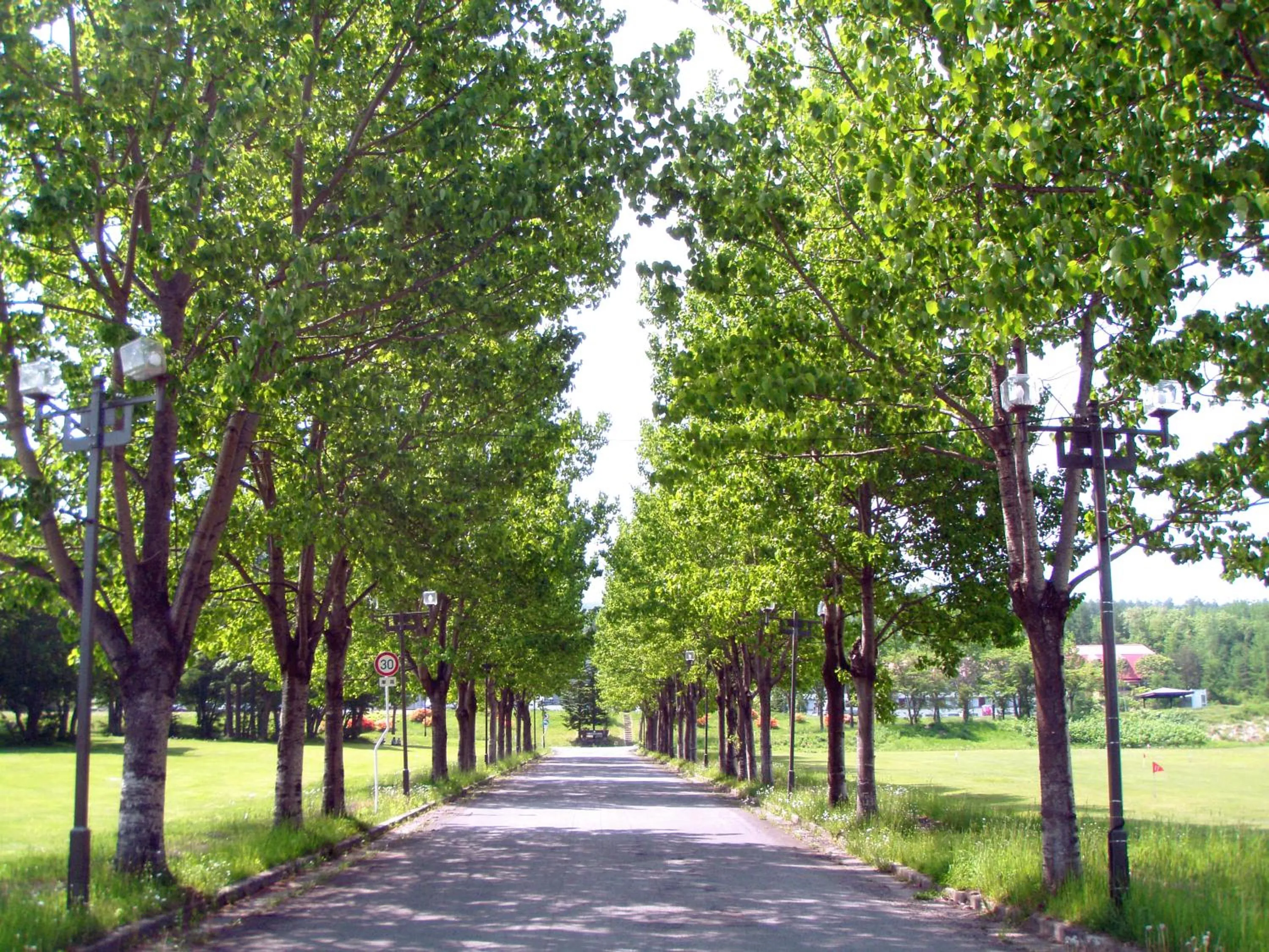 Natural landscape in Hachimantai Mountain Hotel & Spa