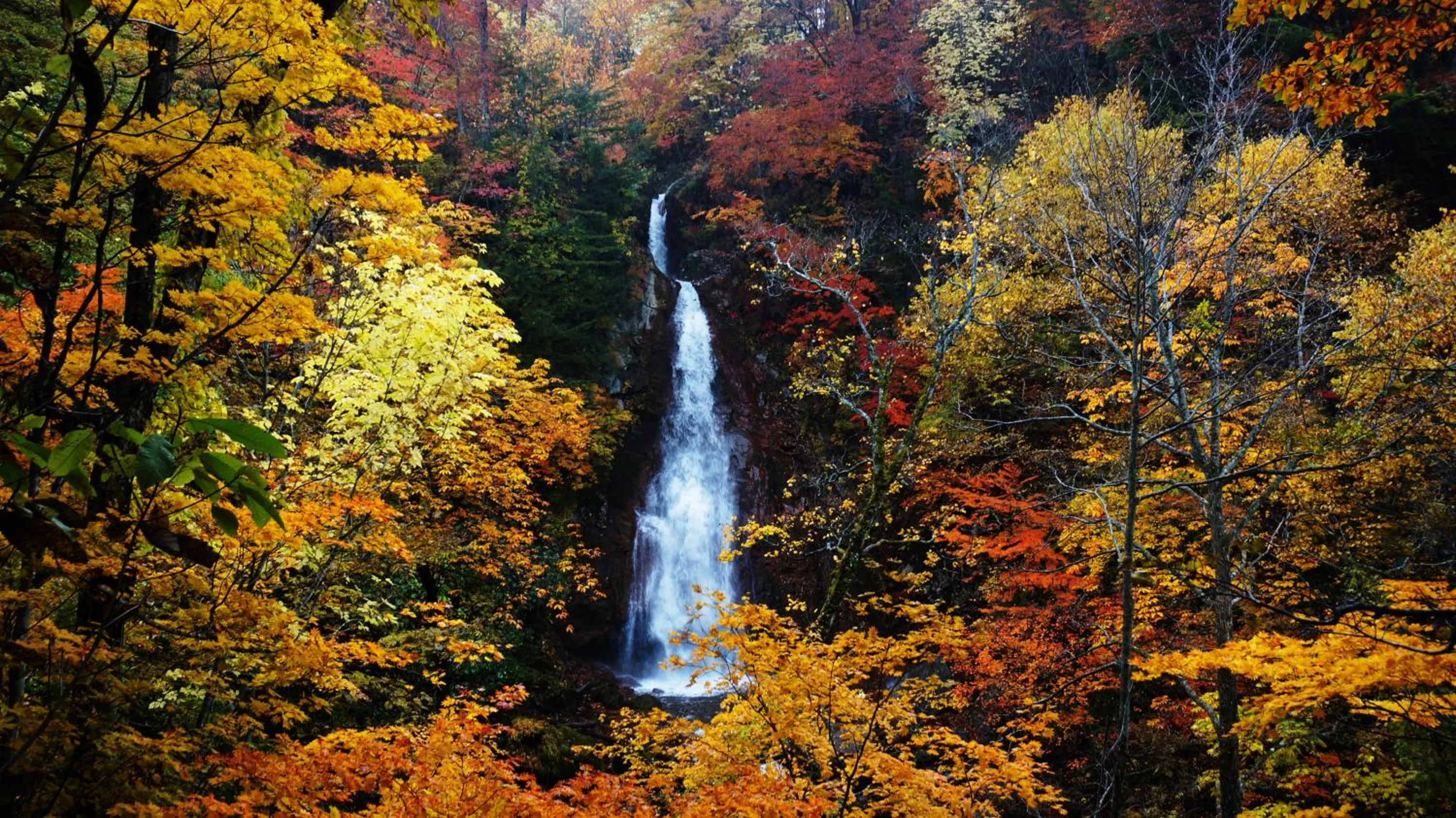 Natural landscape in Hachimantai Mountain Hotel & Spa