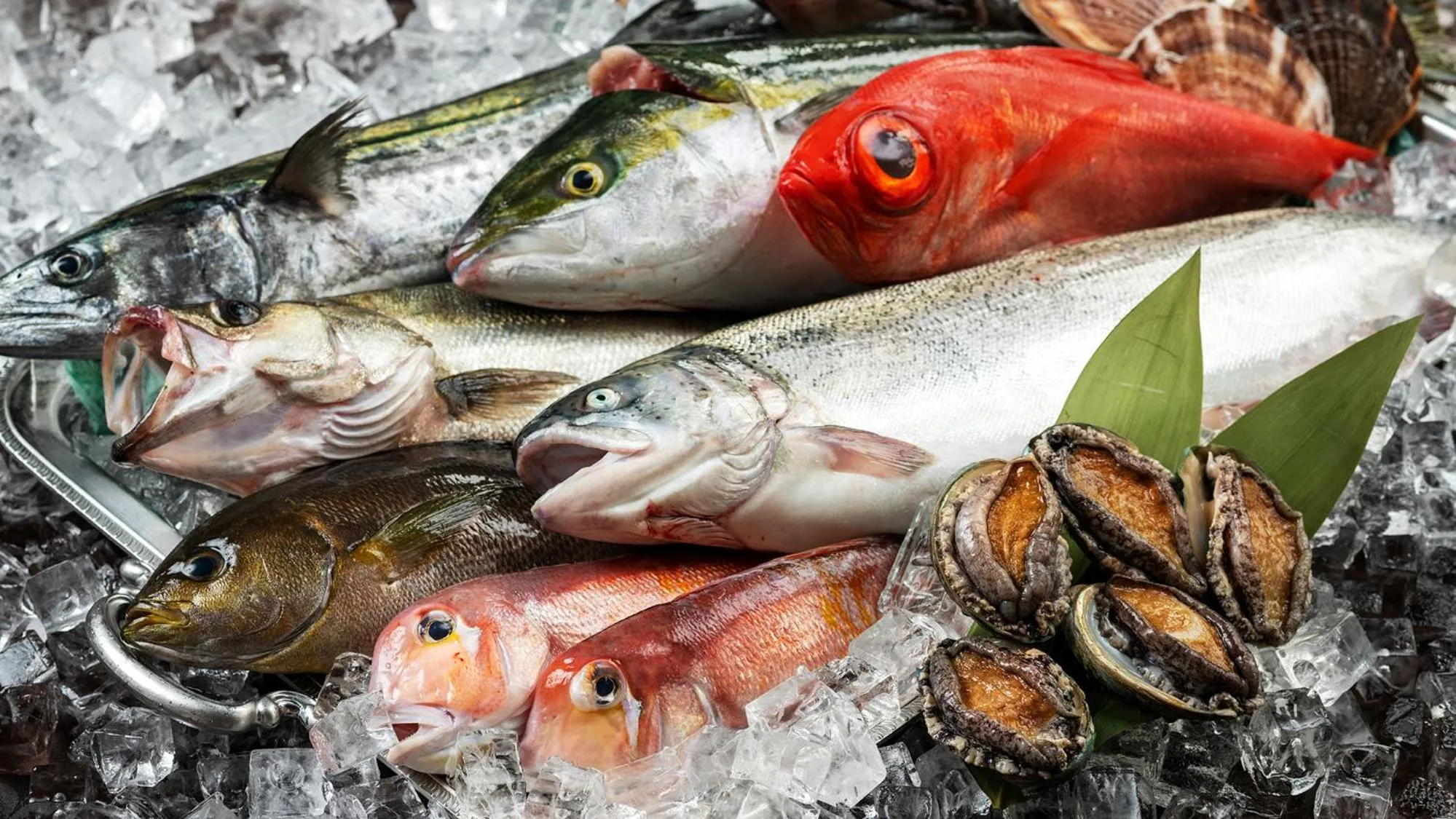 Food close-up in Hachimantai Mountain Hotel & Spa
