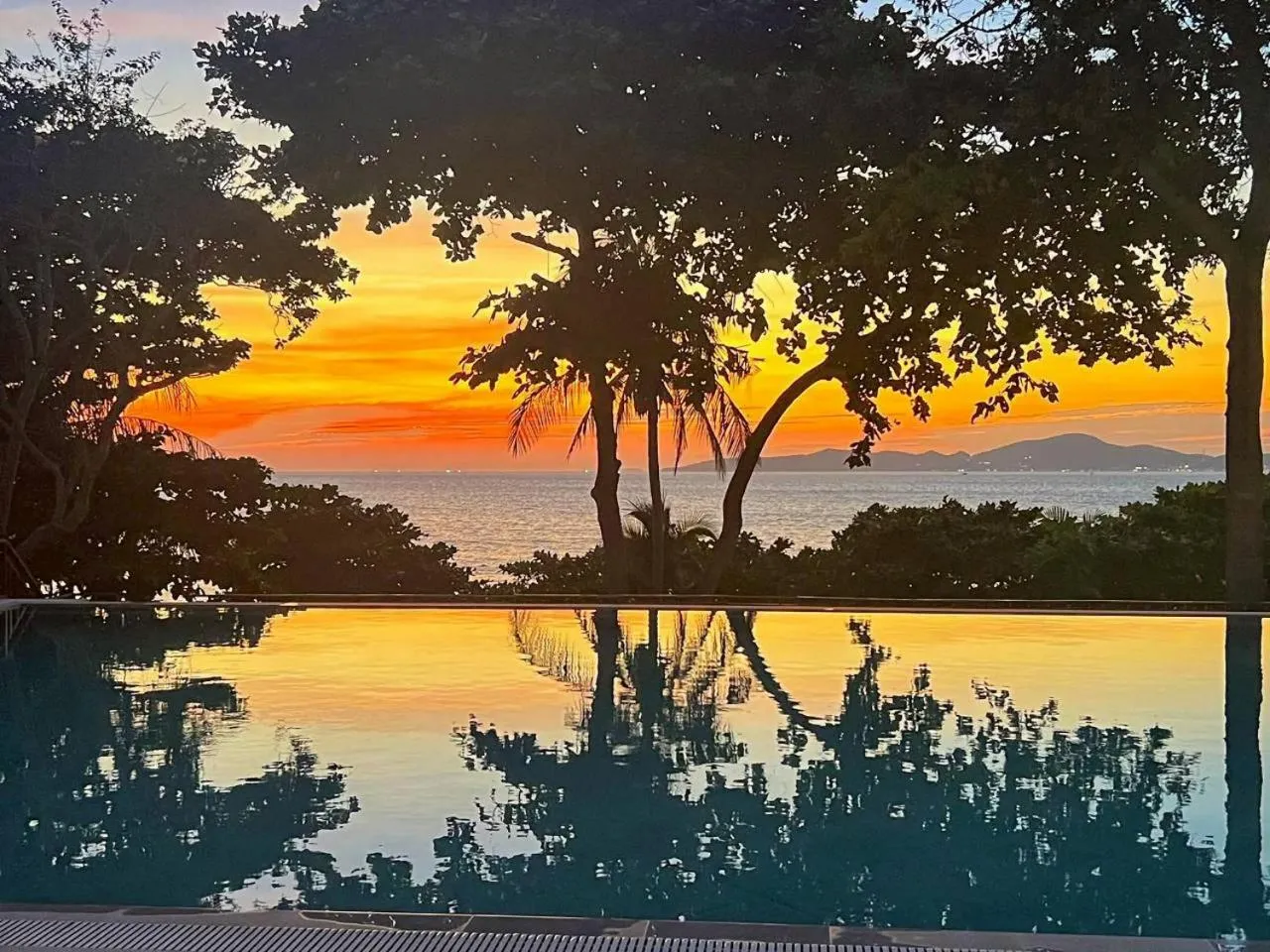 Swimming pool in Birds and Bees Resort