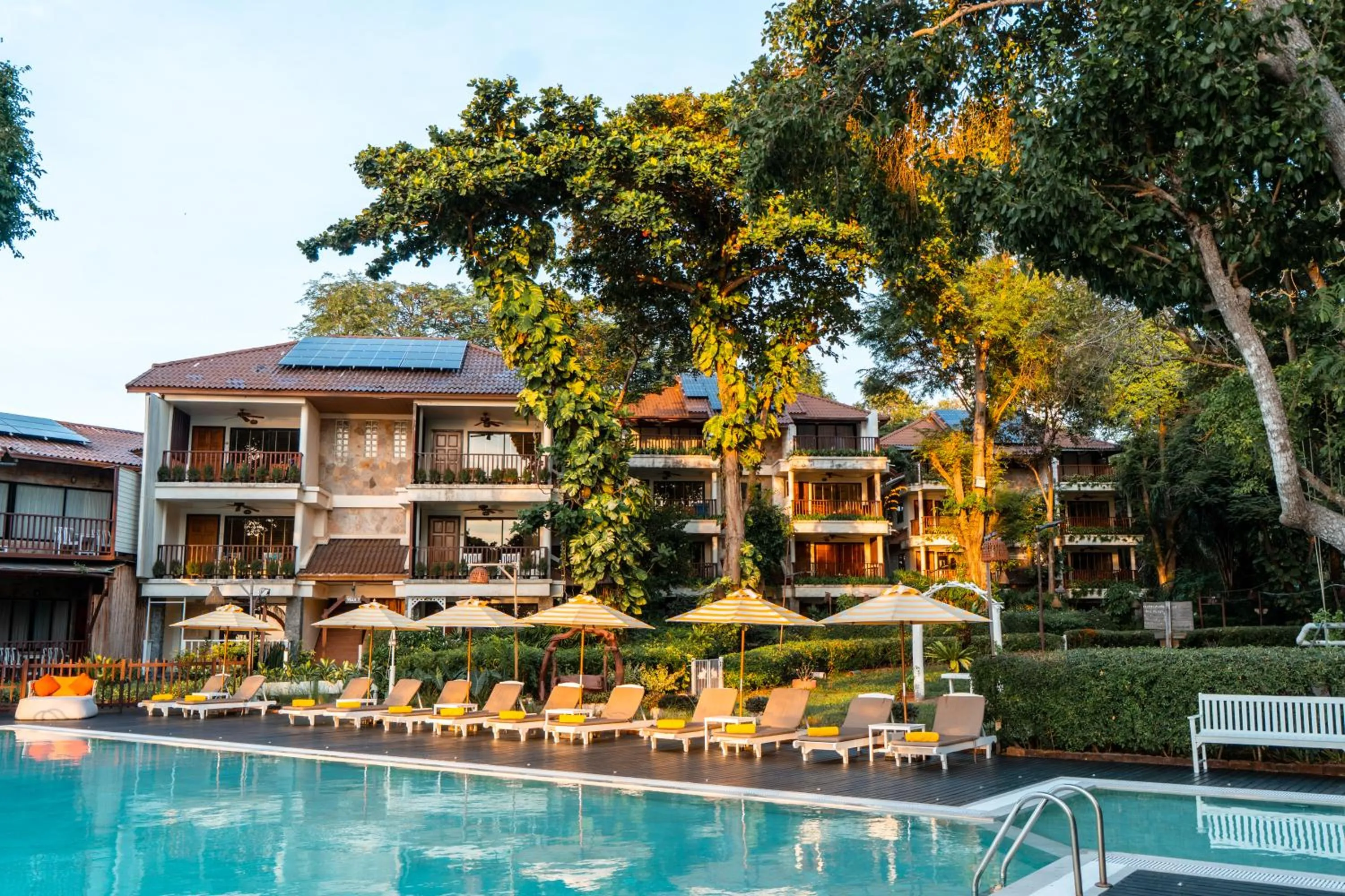 Swimming pool in Birds and Bees Resort