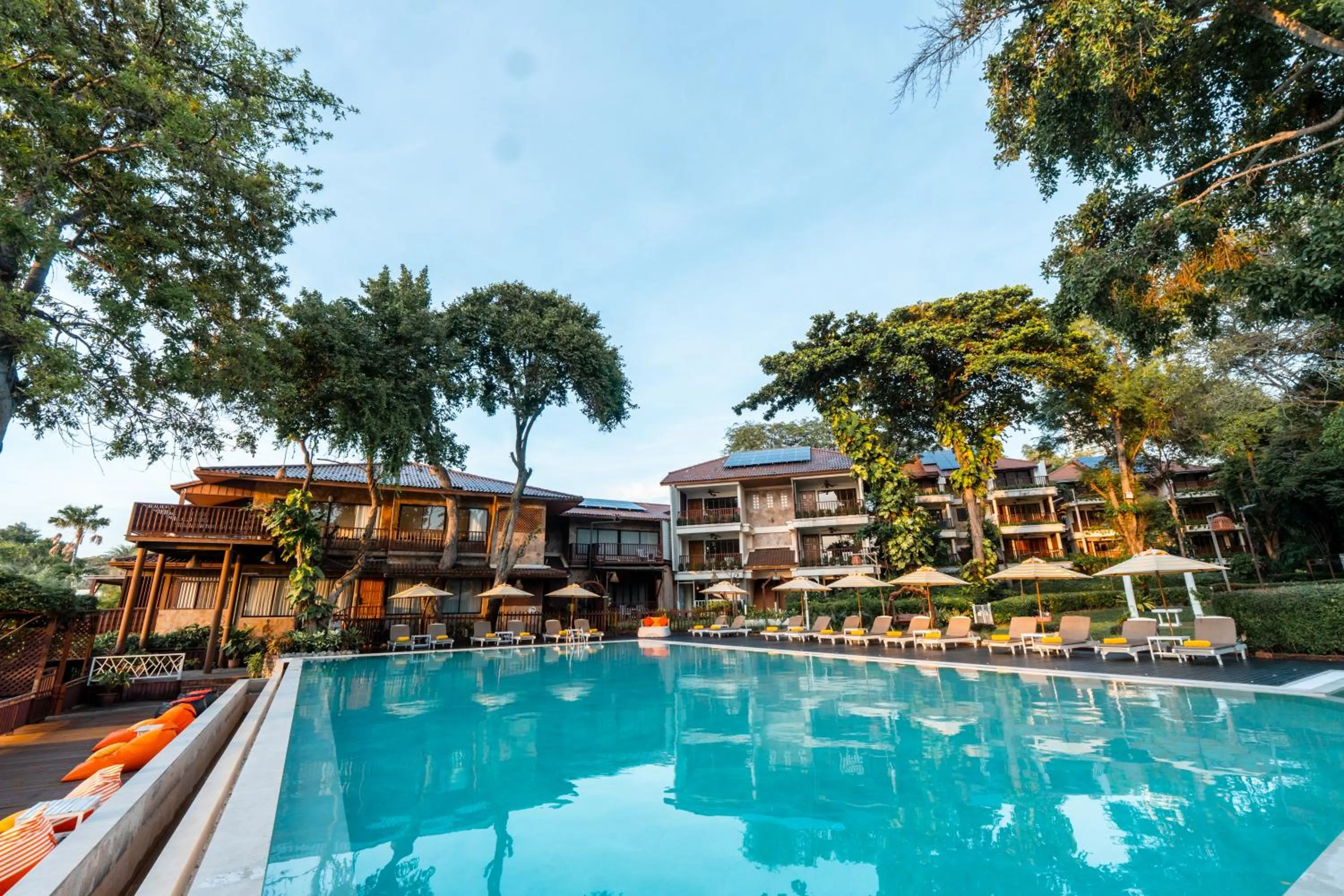 Swimming pool in Birds and Bees Resort