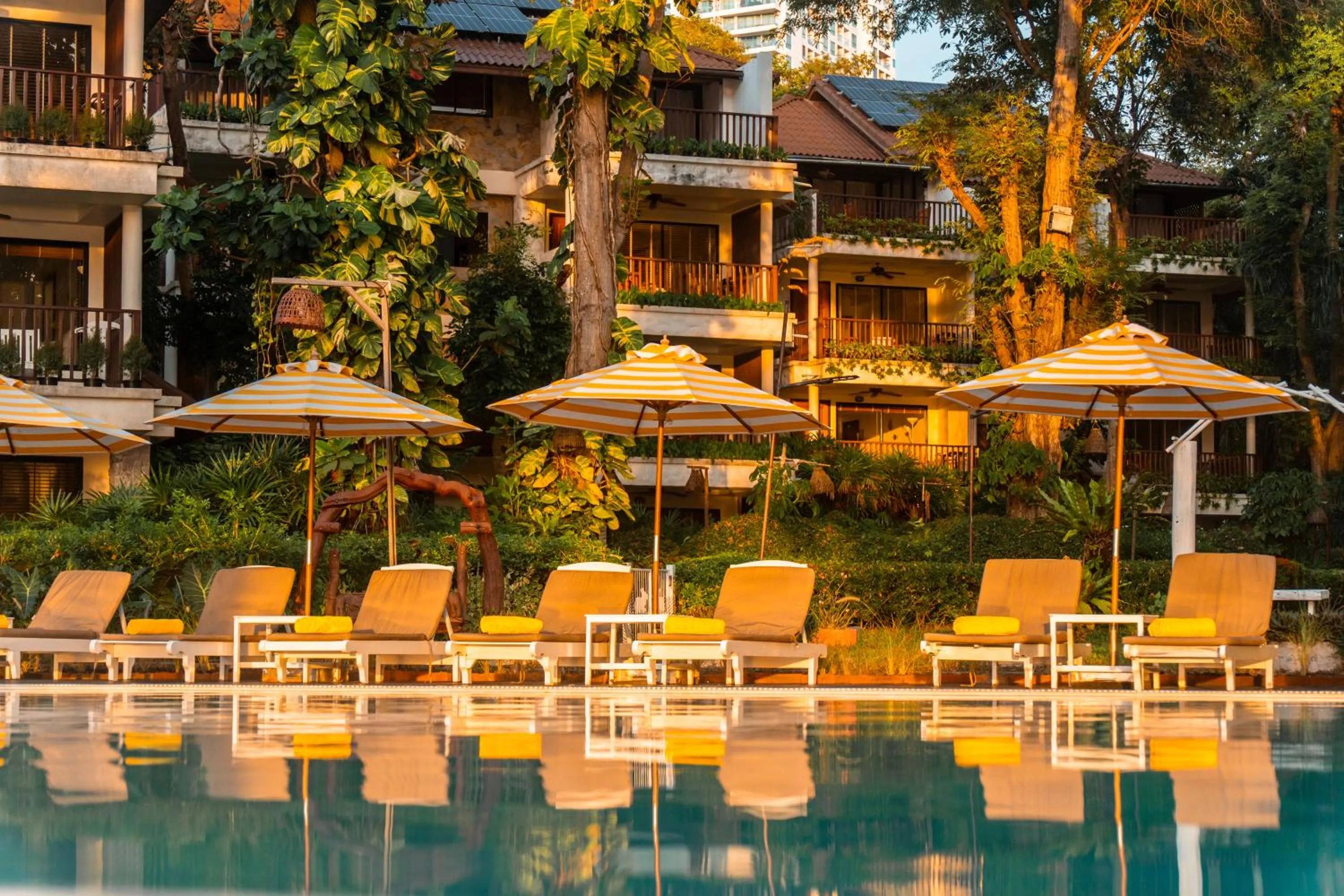 Swimming pool in Birds and Bees Resort