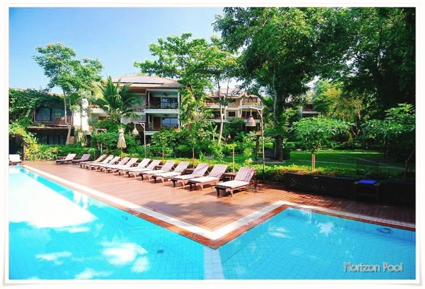 Swimming pool in Birds and Bees Resort