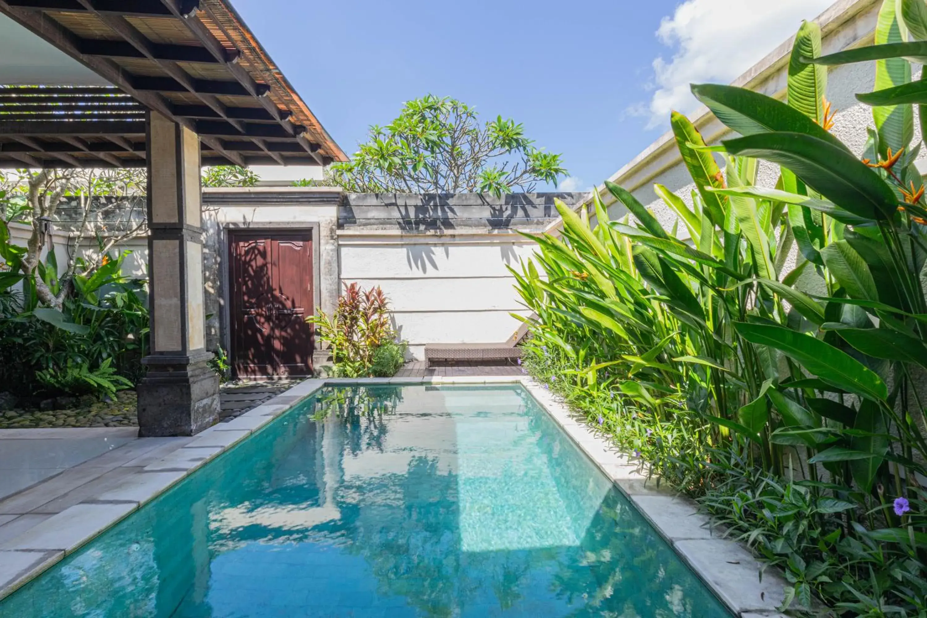 Swimming pool in Puri Canggu Villas & Rooms Swimming pool in Puri Canggu Villas & Rooms
