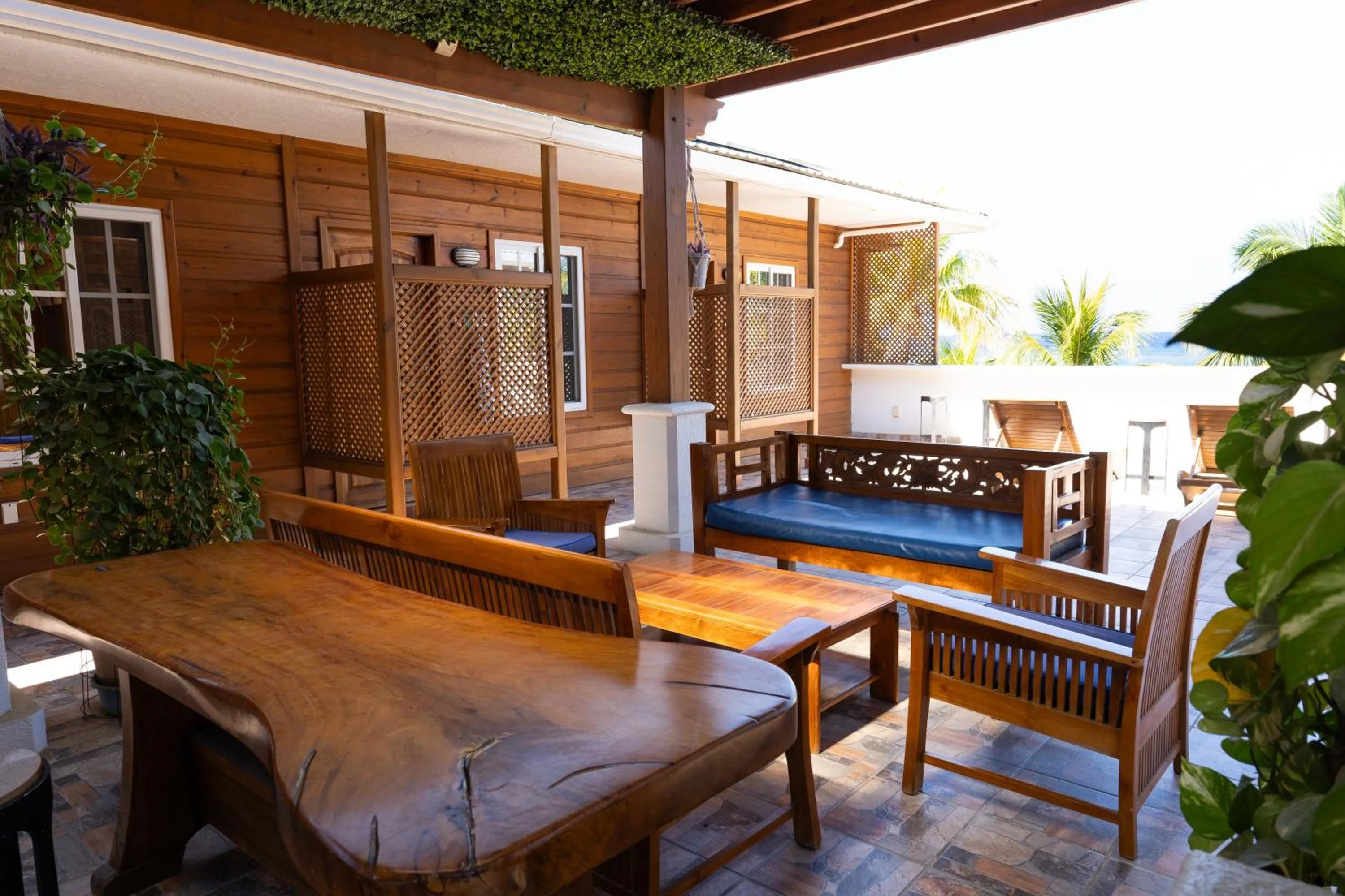 Balcony/Terrace in Mr. Tucan Hotel