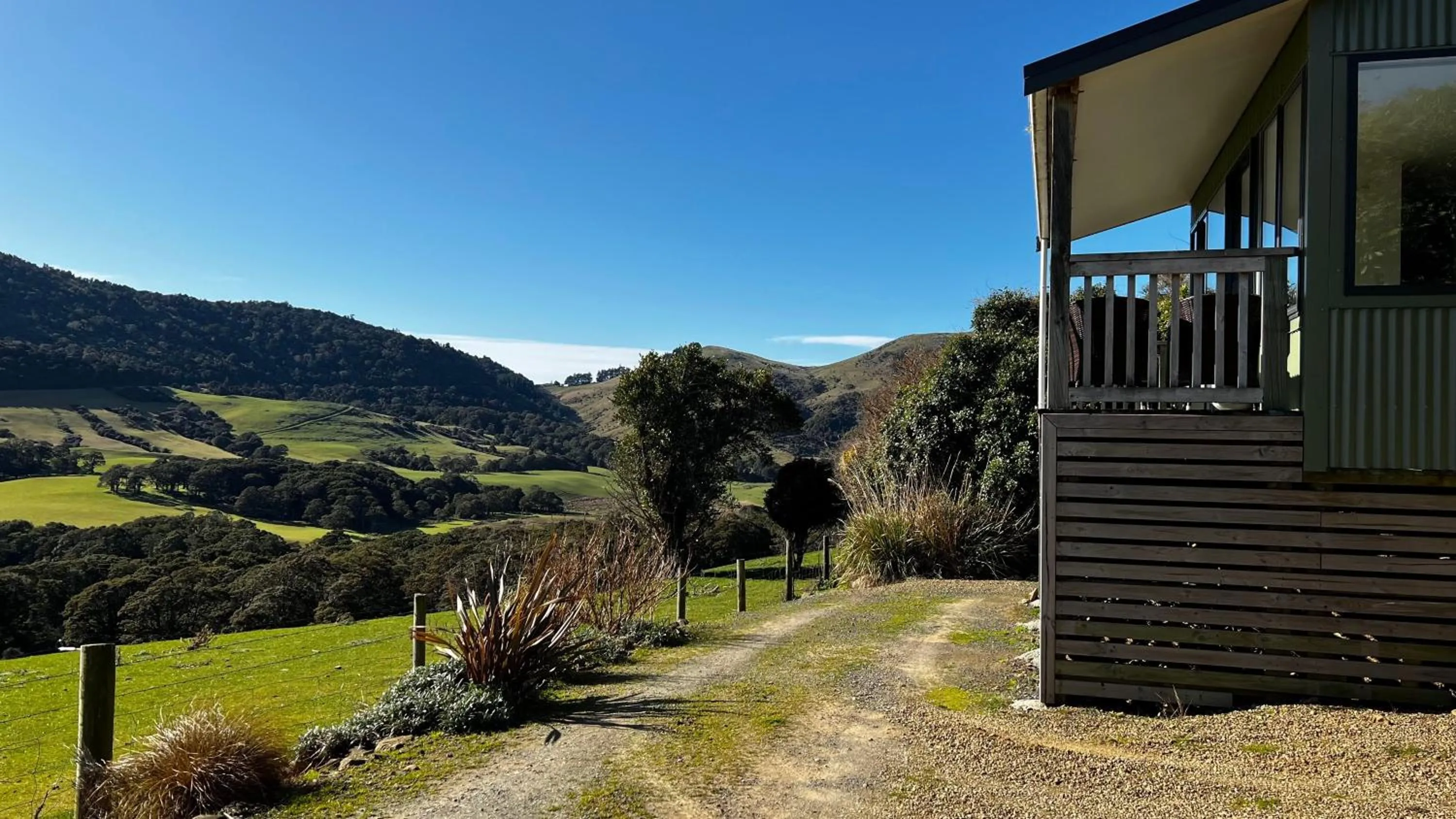 Natural landscape in Mohua Park - Catlins Eco Accommodation